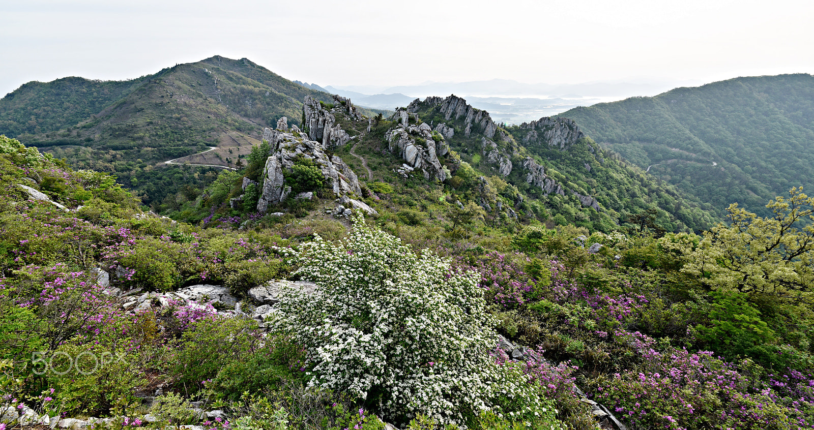 Sigma 12-24mm F4.5-5.6 II DG HSM sample photo. Spring of mountains photography