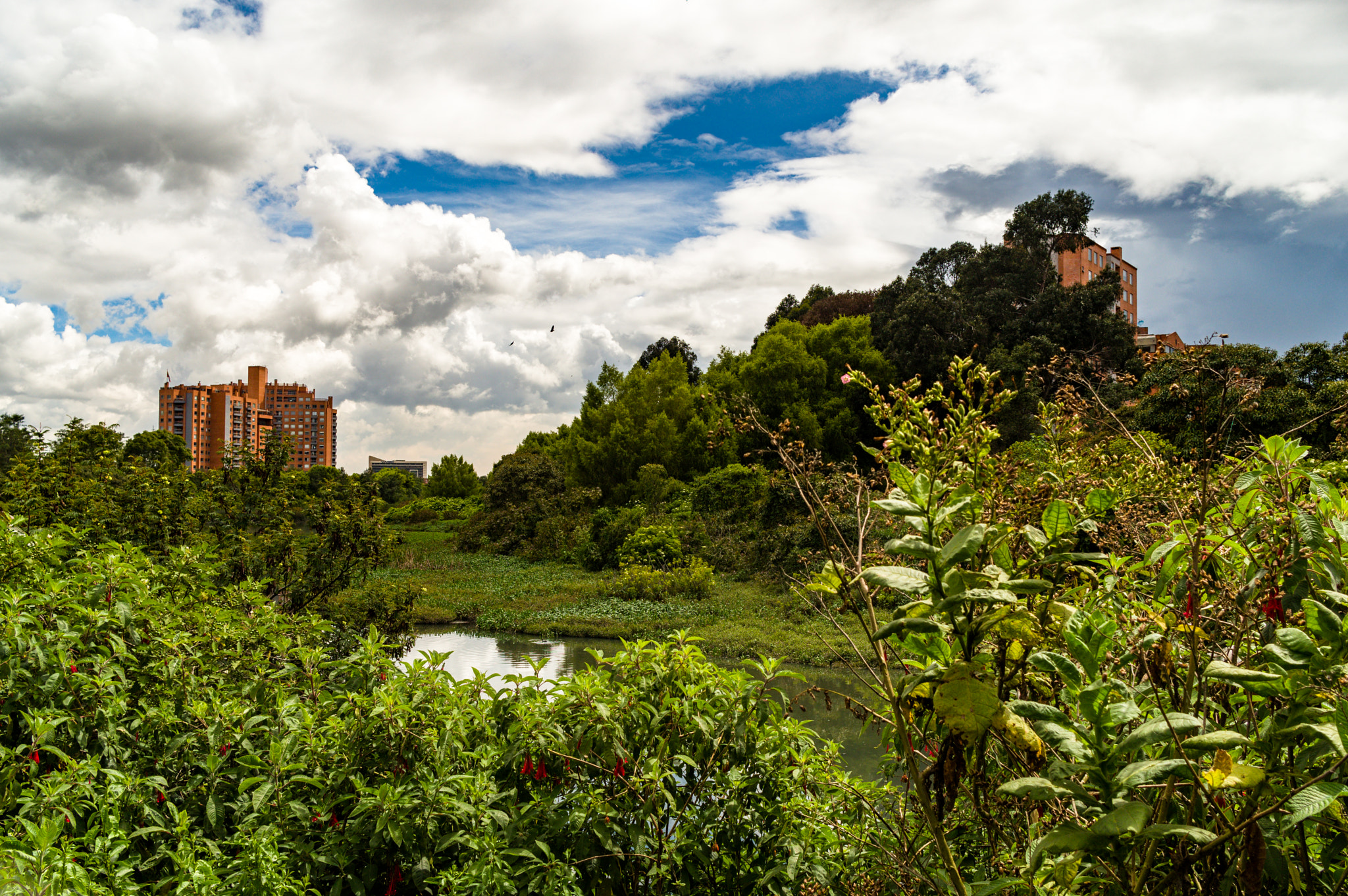 Pentax KP sample photo. Bogota river photography