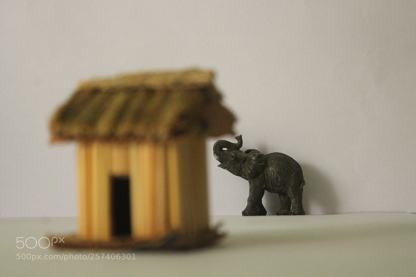 Canon EOS 1100D (EOS Rebel T3 / EOS Kiss X50) sample photo. *tarea perspectiva* photography