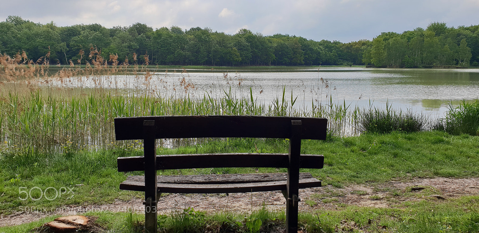Samsung Galaxy S9+ sample photo. Lonely bench photography