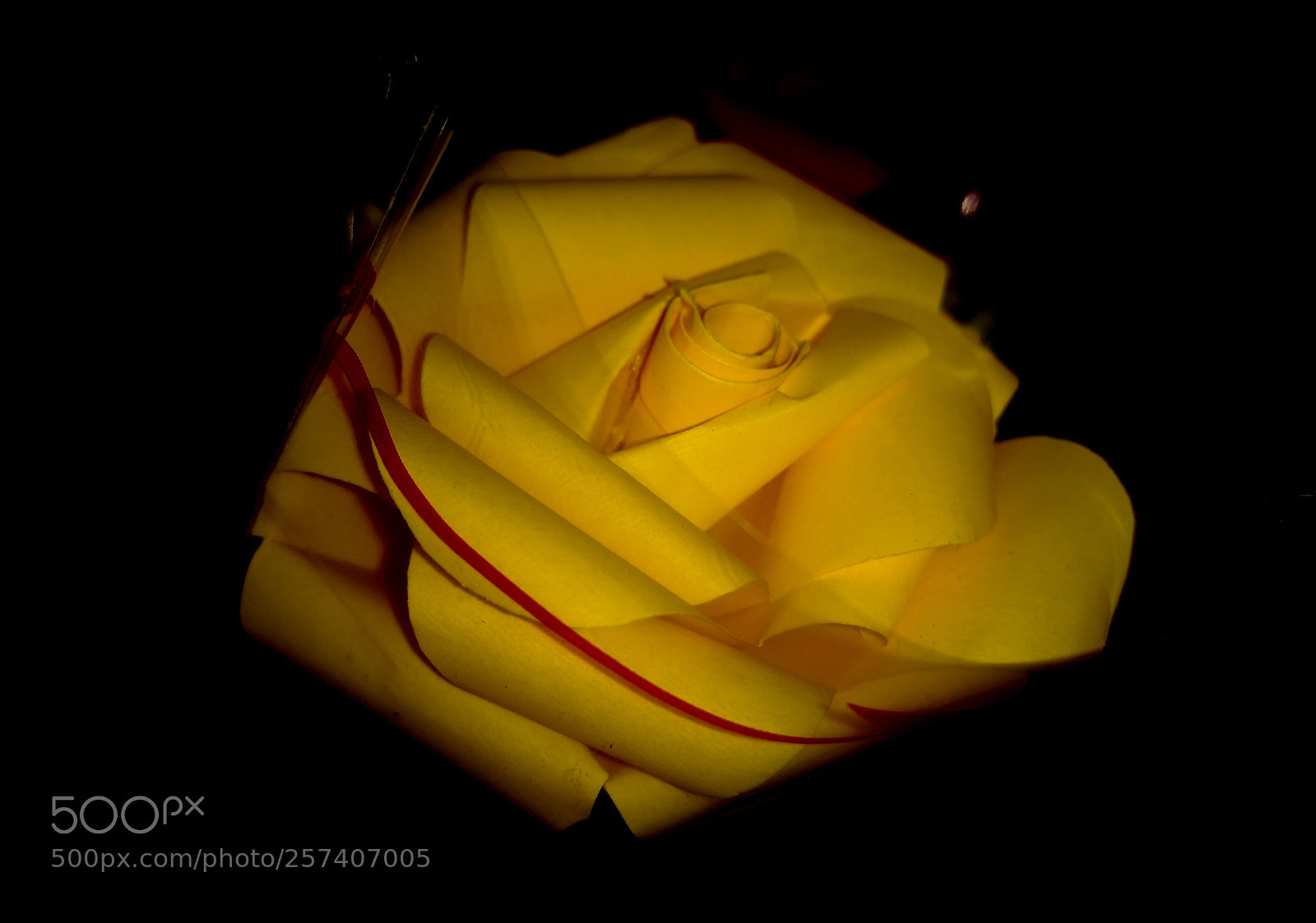 Motorola Moto G (4) sample photo. Flor de papel photography