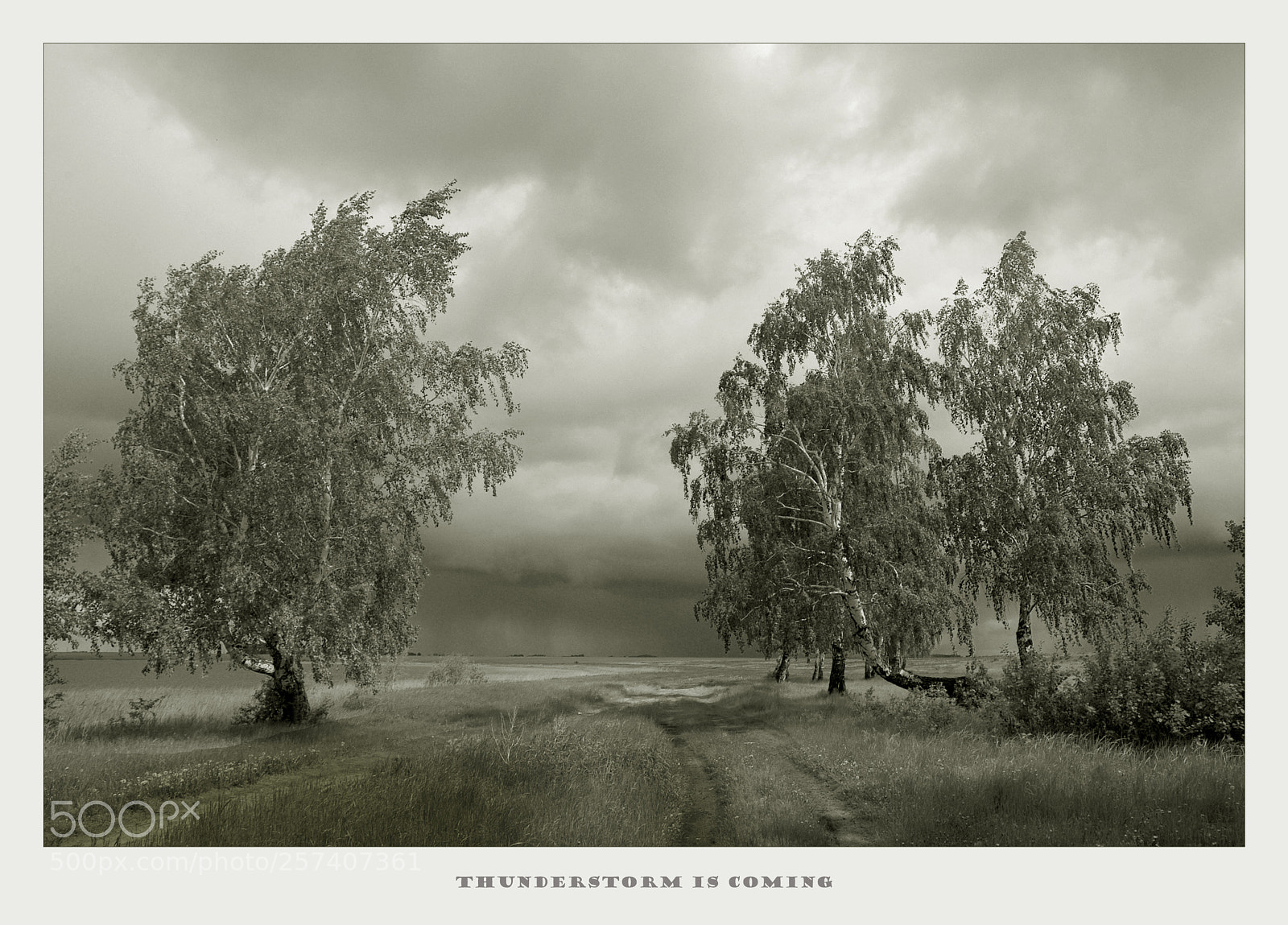 Fujifilm FinePix S3 Pro sample photo. Thunderstorm is coming photography