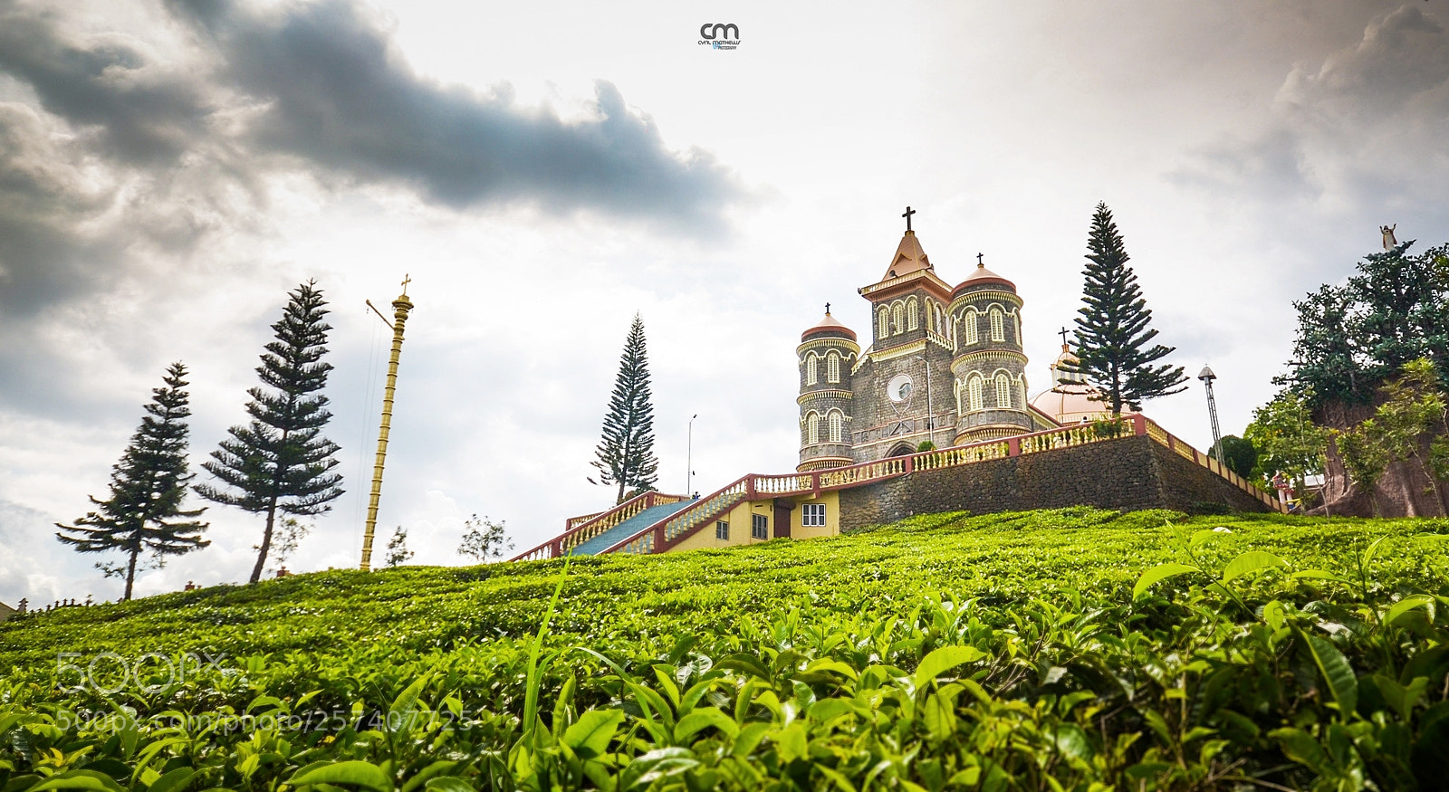Nikon D3100 sample photo. Over the green blanket.. photography