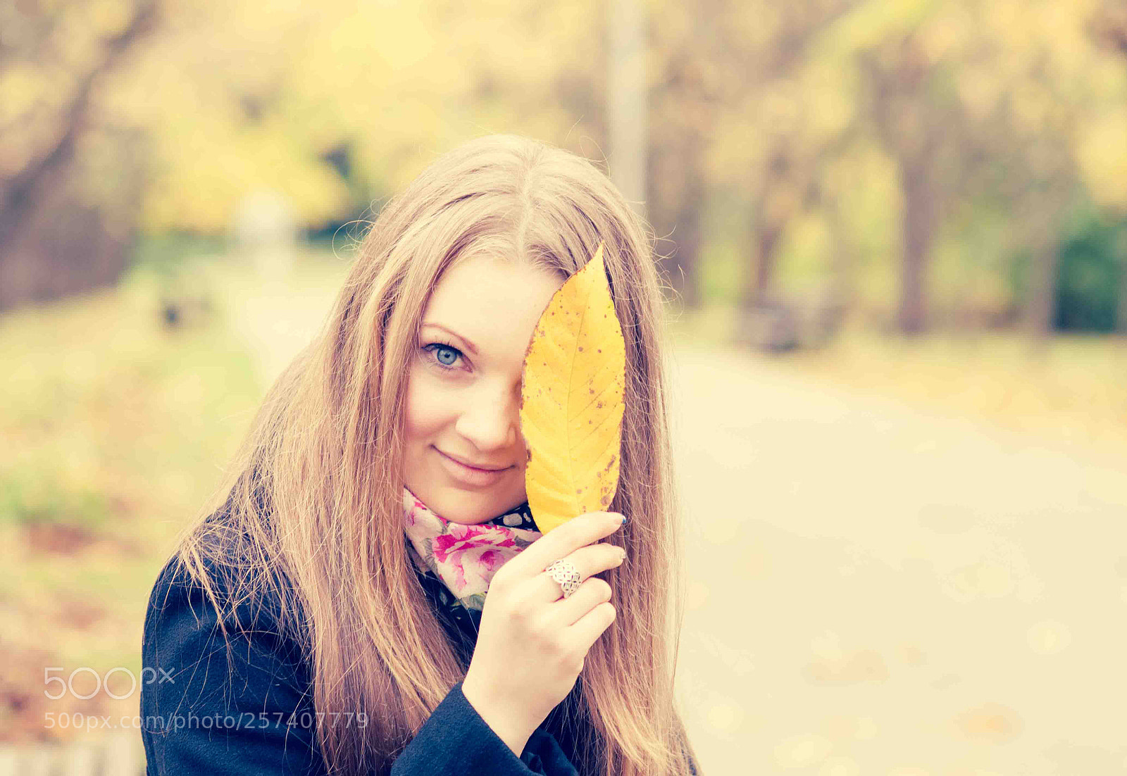 Nikon D300S sample photo. Untitled photography