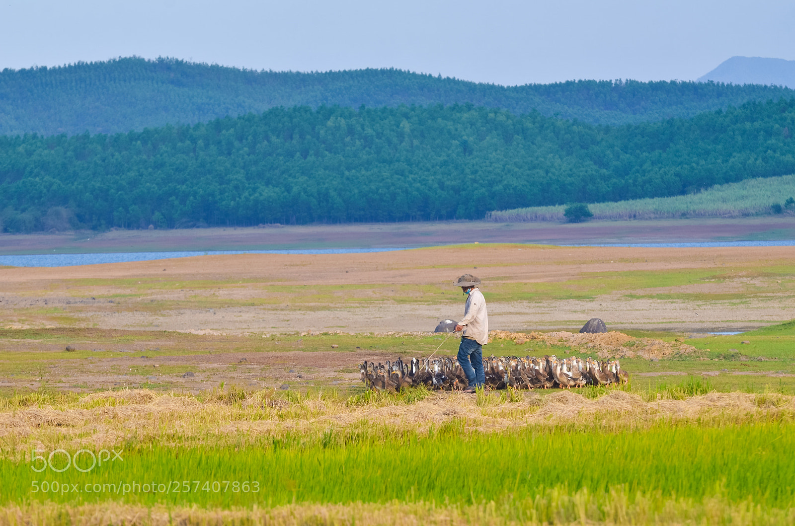 Nikon D7000 sample photo. The man with his photography