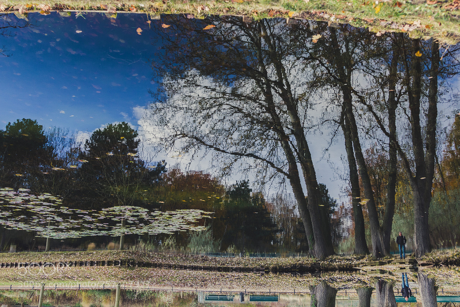 Canon EOS 700D (EOS Rebel T5i / EOS Kiss X7i) sample photo. Amazing reflection in the photography
