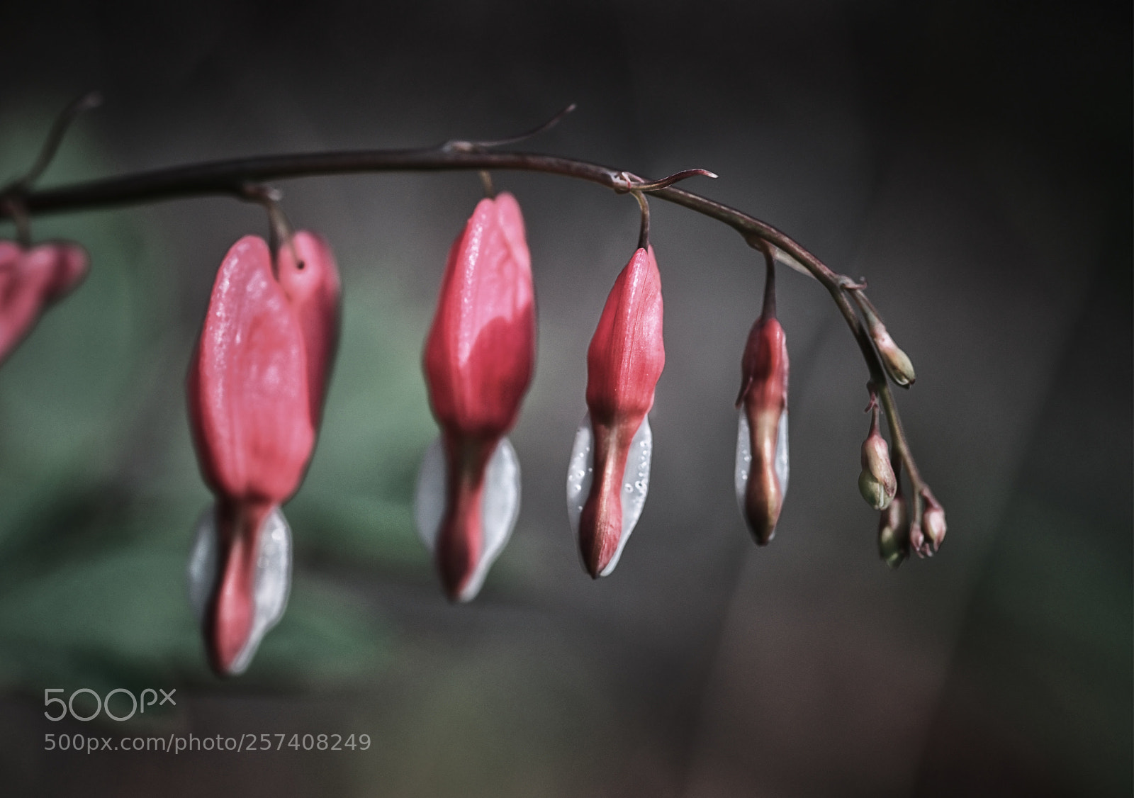 Nikon D810 sample photo. Nature’s work photography
