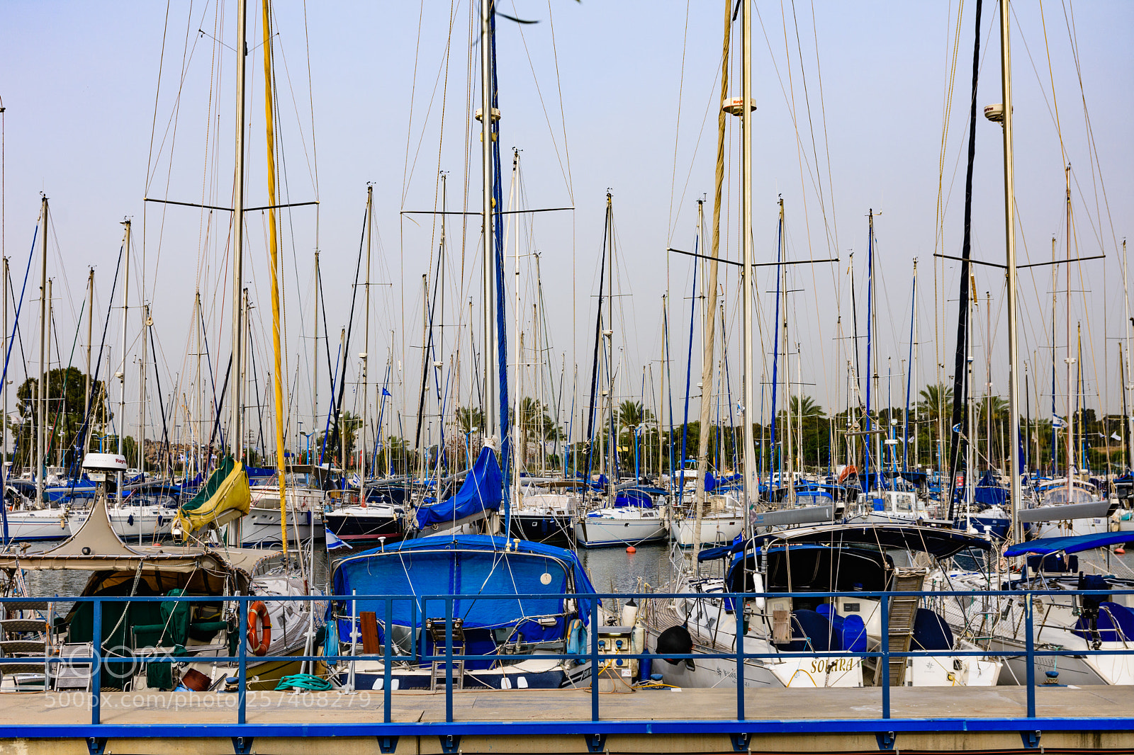 Nikon D7200 sample photo. Repeating elements photography