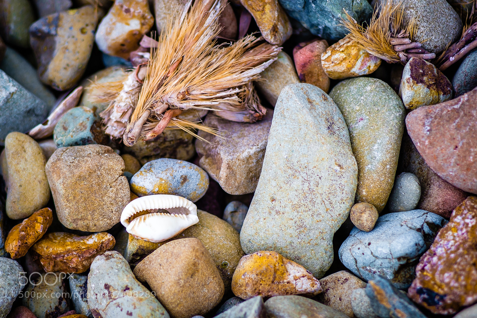 Fujifilm X-T1 sample photo. Pebbles and a shell photography