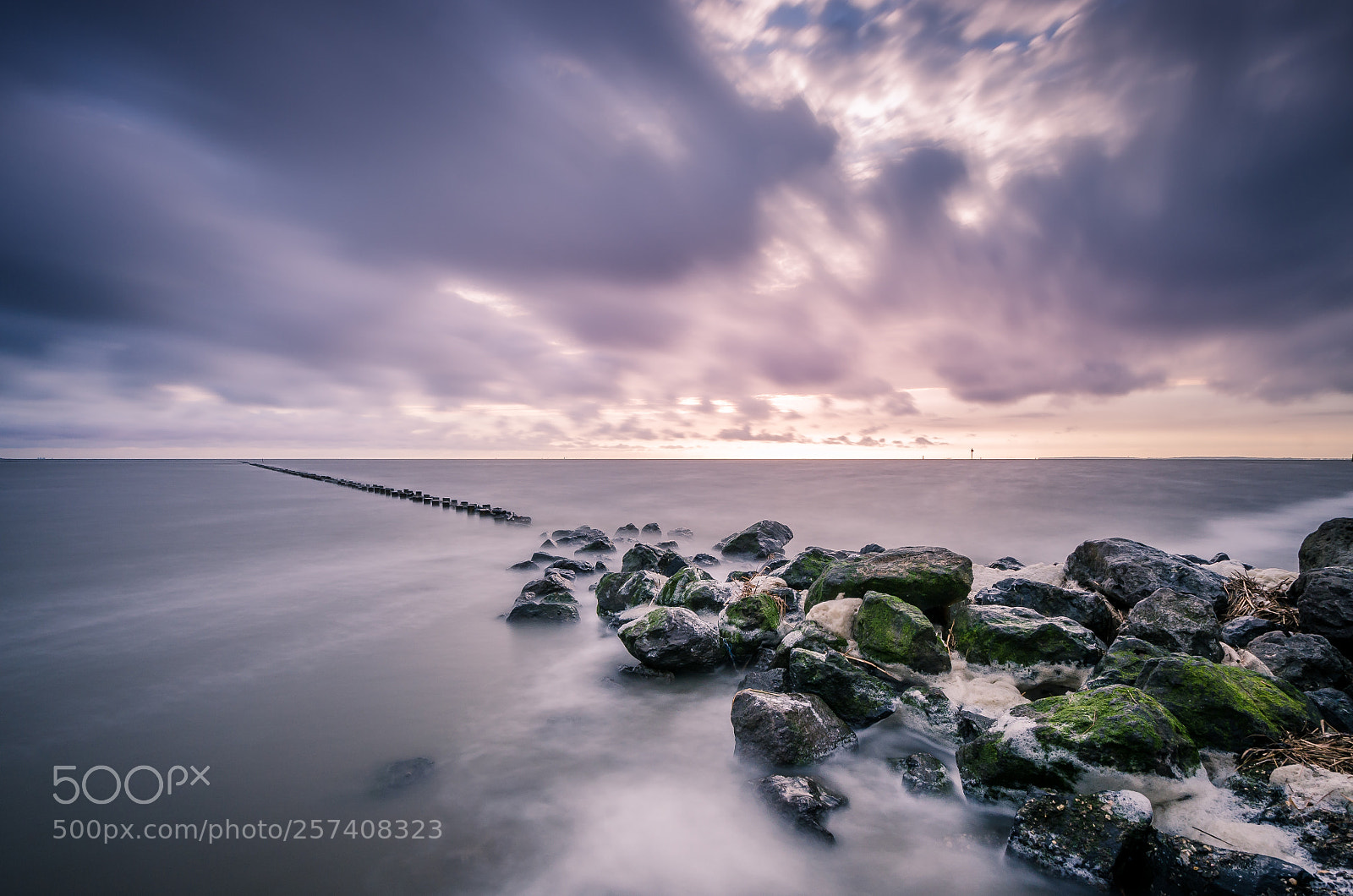 Nikon D7000 sample photo. Waddensea holland photography