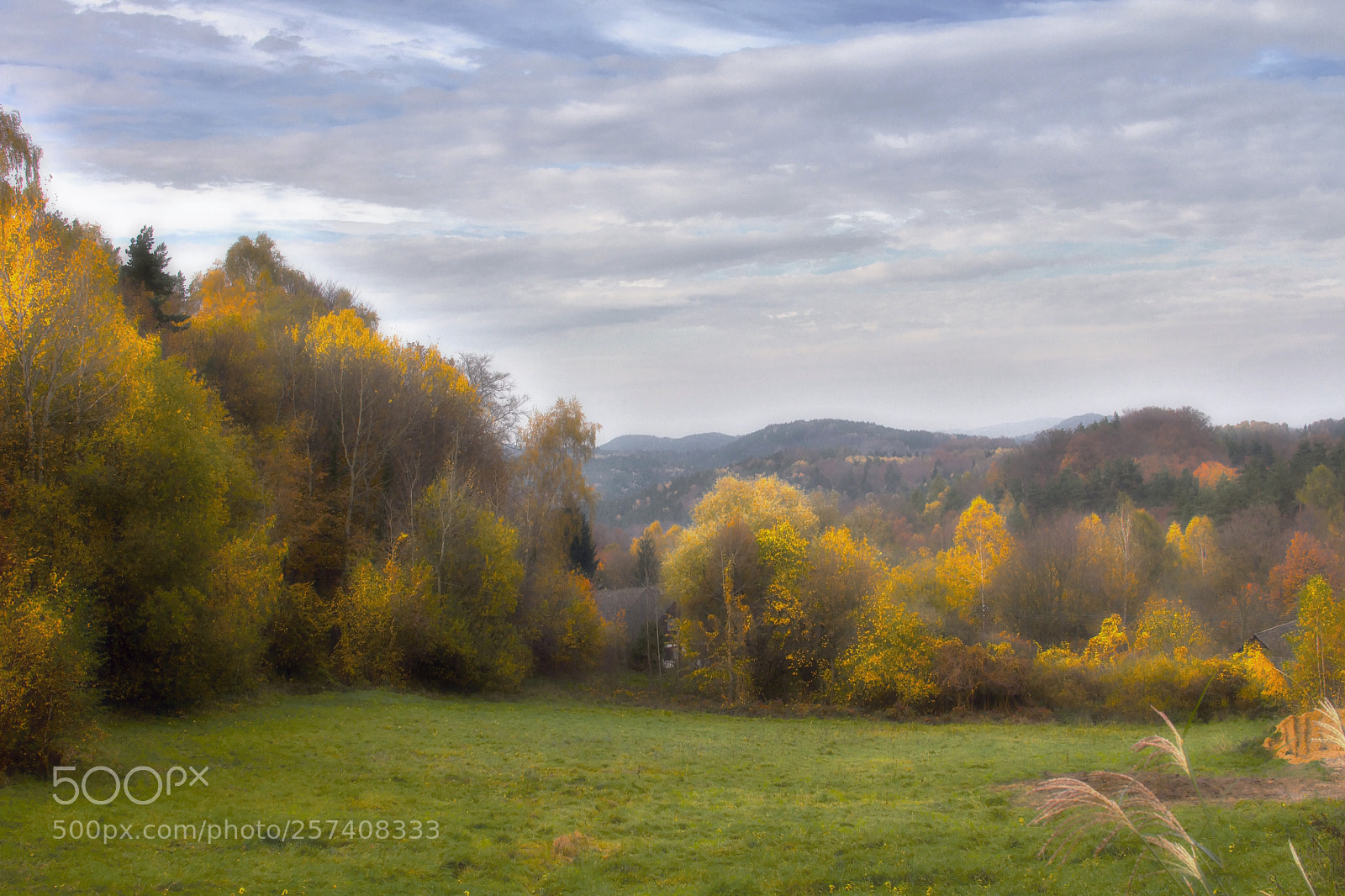 Canon EOS 60D sample photo. Autumn colours of the photography