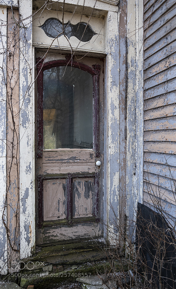 Fujifilm GFX 50S sample photo. Side door photography