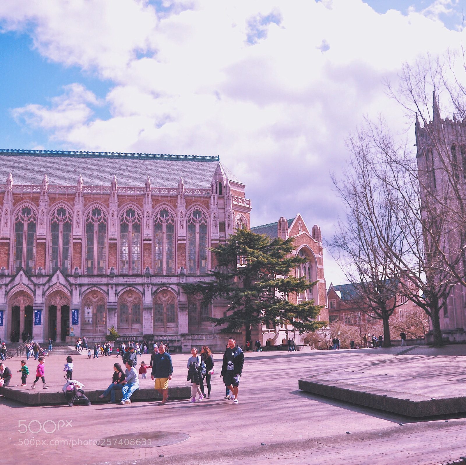 Nikon D90 sample photo. Uw-library photography