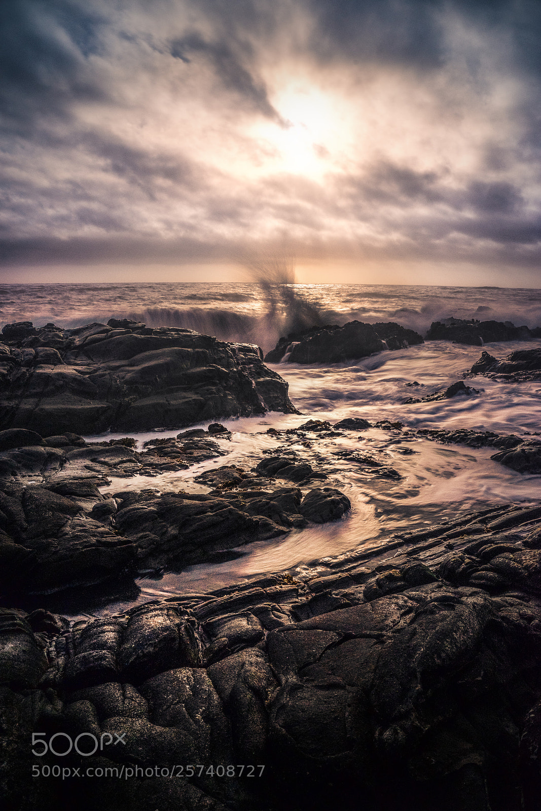 Sony a7 II sample photo. Bean hollow photography