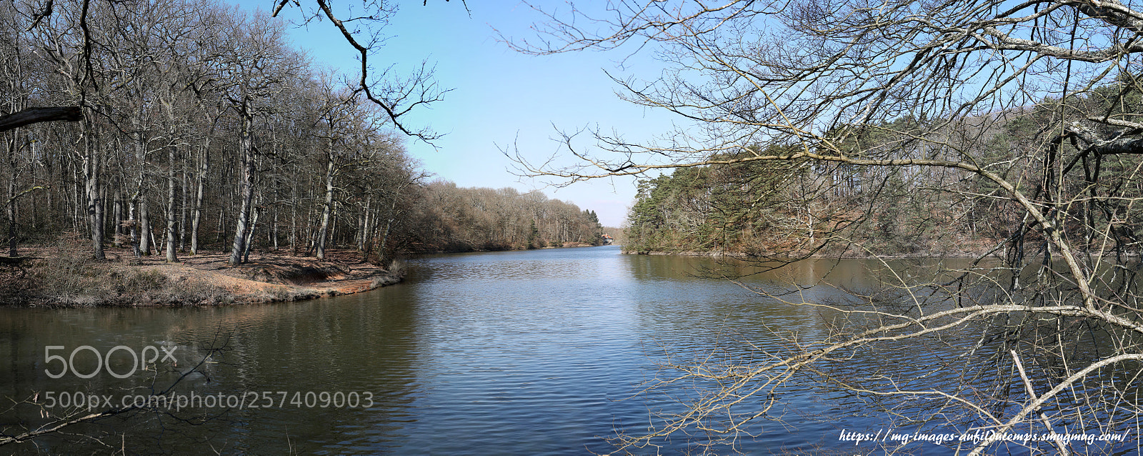 Canon EOS 5D Mark IV sample photo. Winter morning in the photography