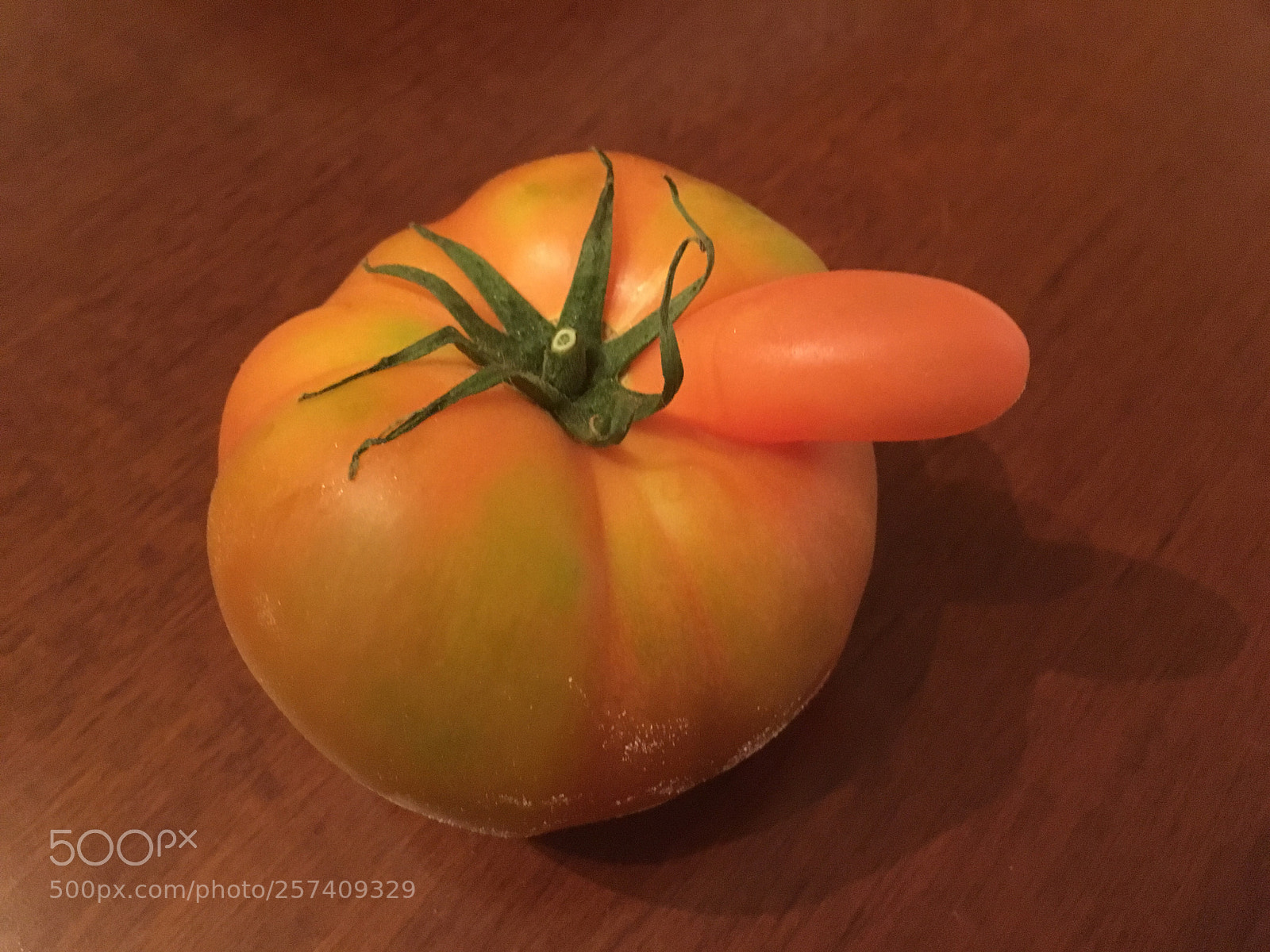 Apple iPhone 6s sample photo. Untitled photography