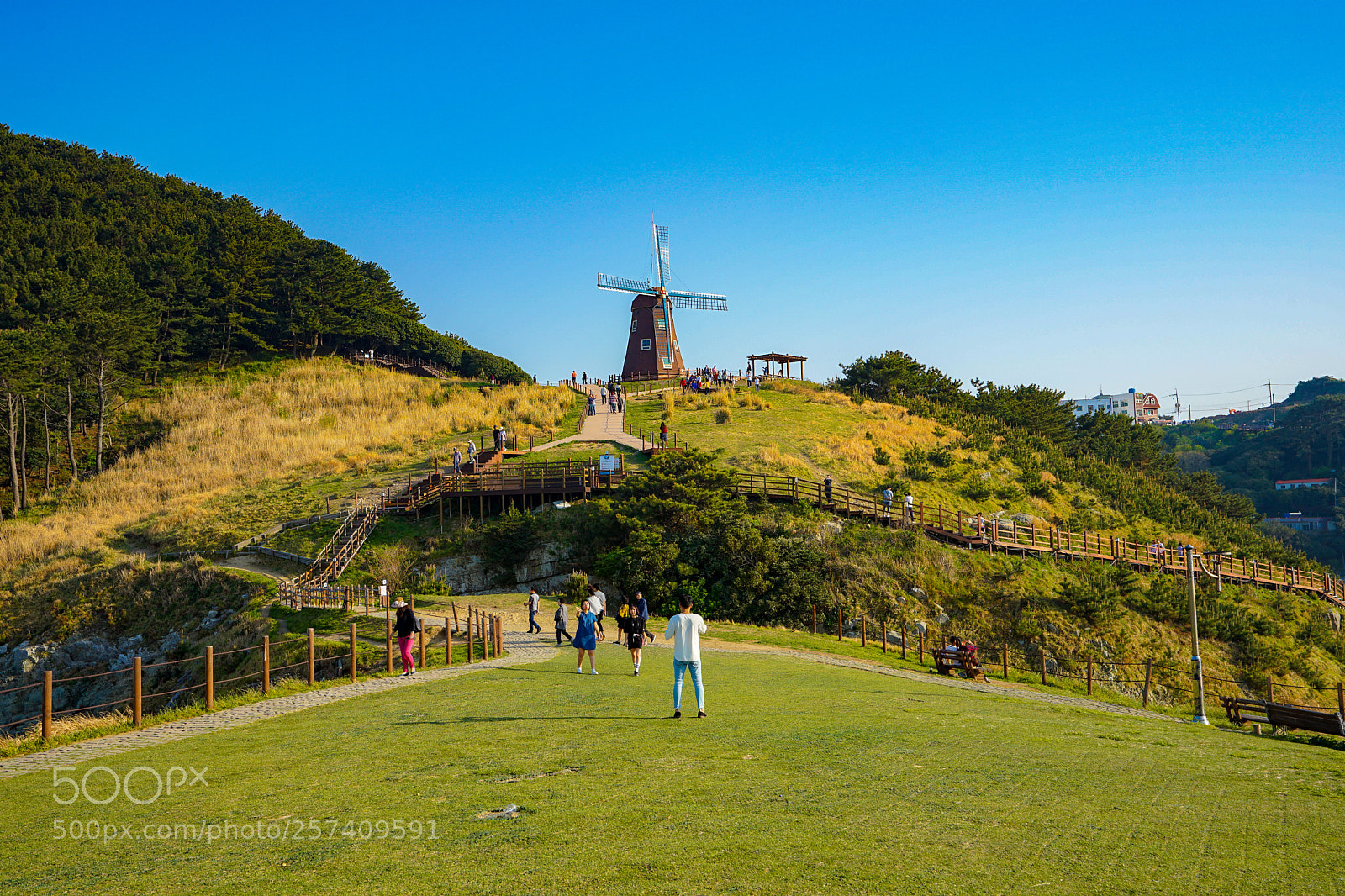 Sony a7 II sample photo. Korea, hill of wind photography
