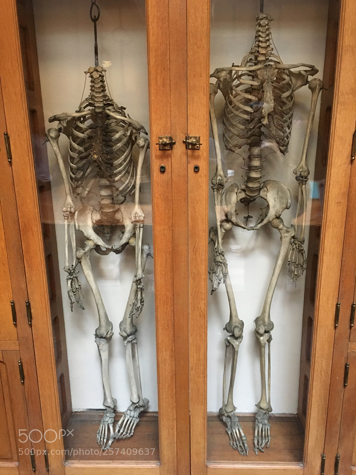 Apple iPhone 6s sample photo. His & hers photography