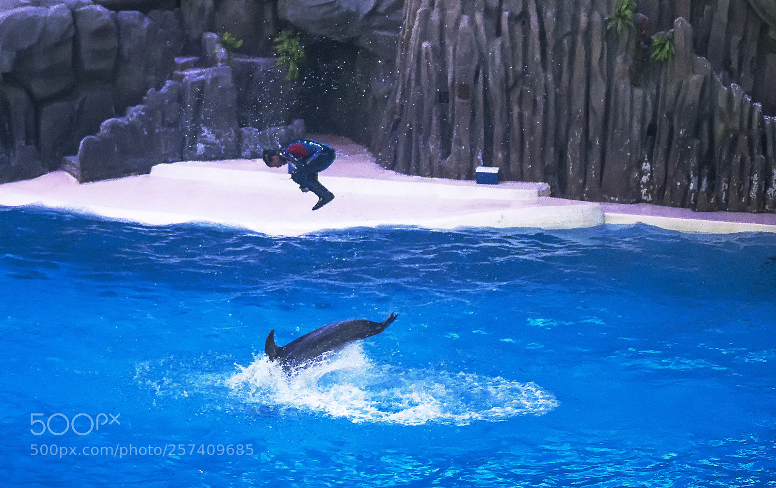 Sony a7S II sample photo. Stunman at dolphin show. photography