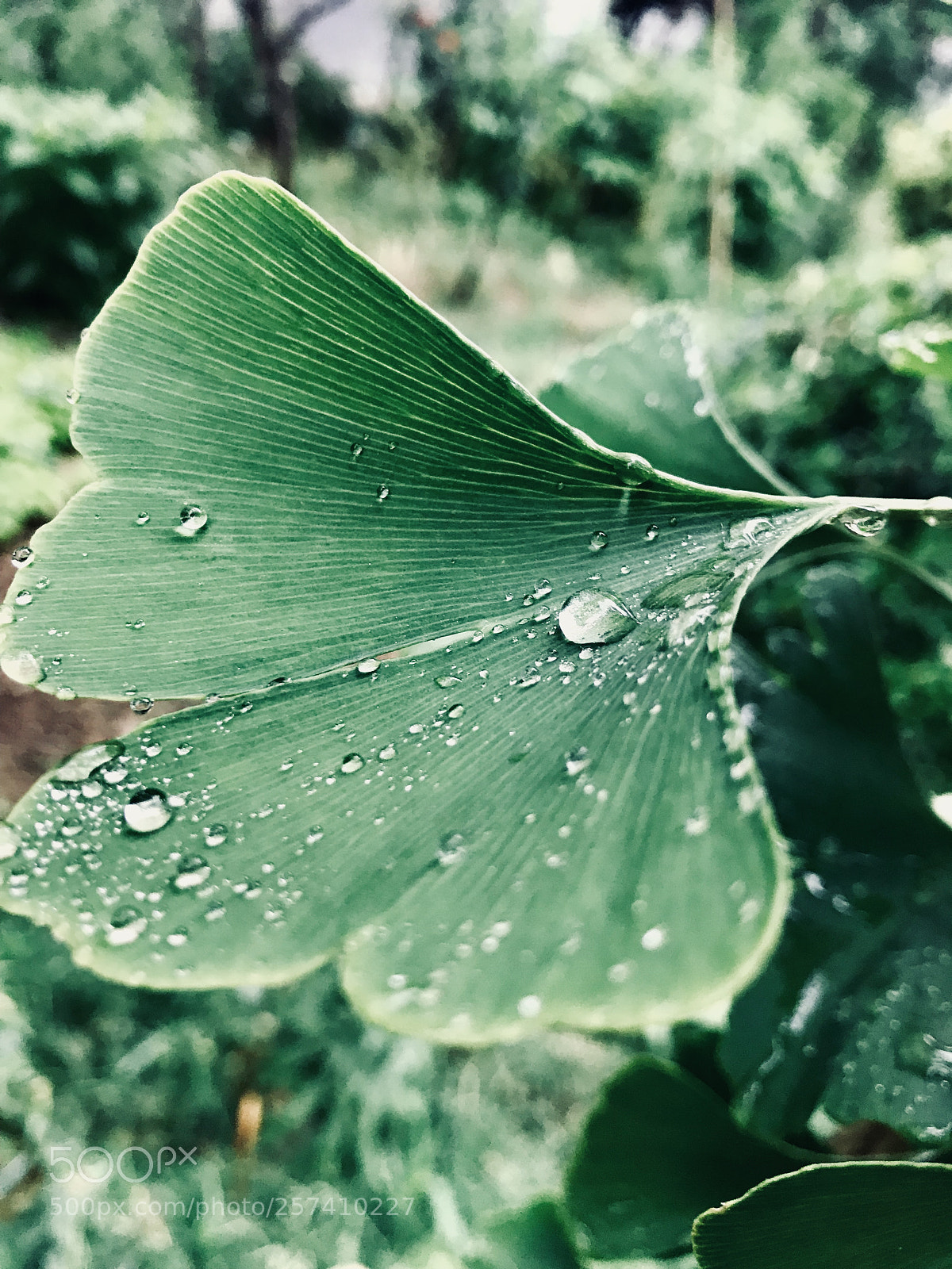 Apple iPhone 7 sample photo. Untitled photography