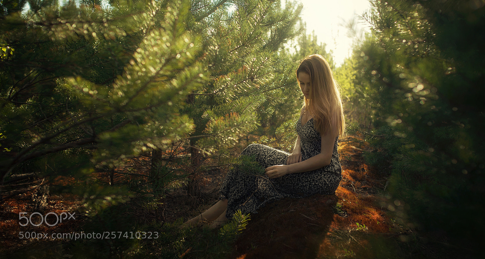 Canon EOS 5D Mark II sample photo. Elena photography