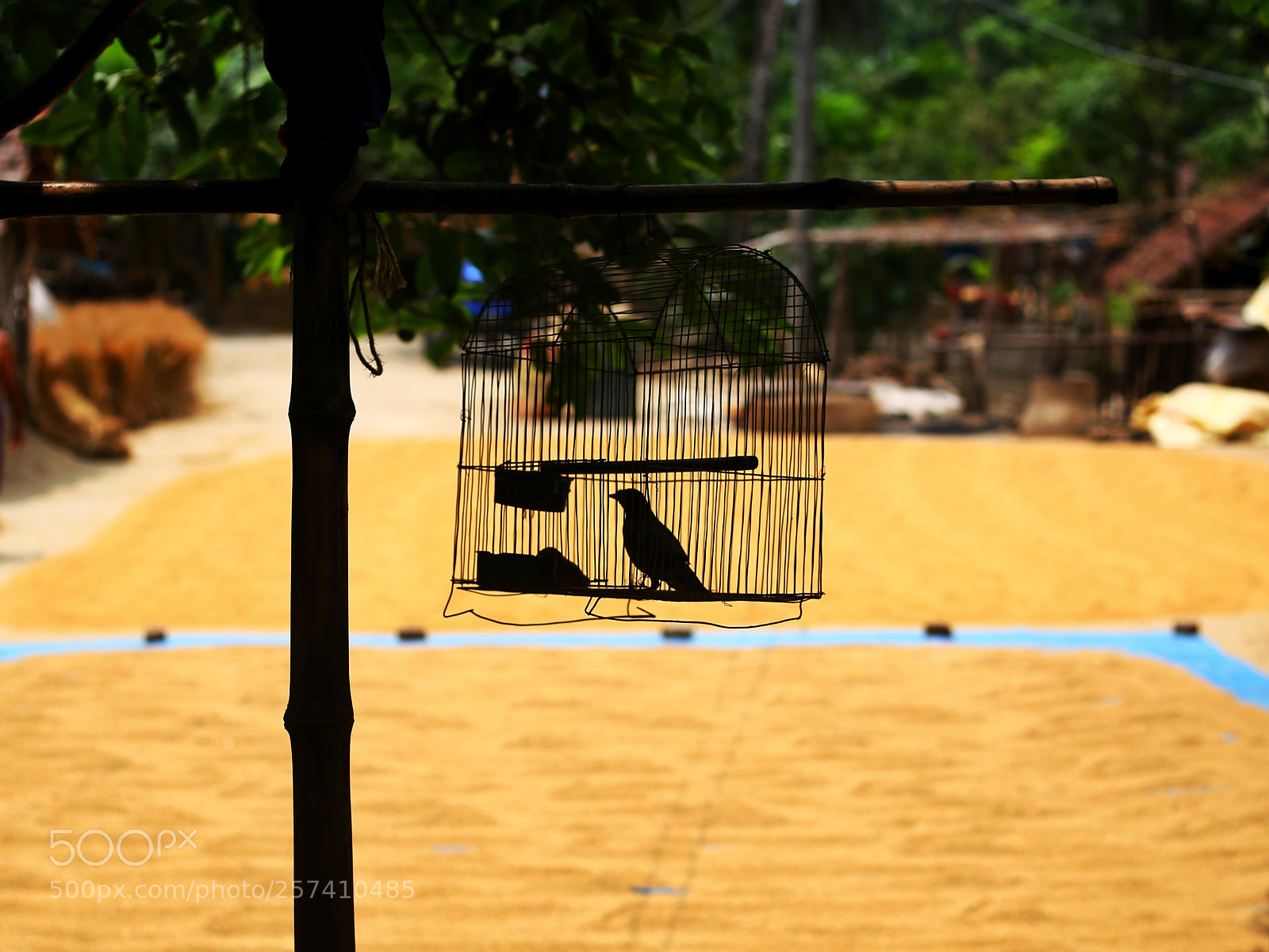 Canon EOS 6D sample photo. Untitled photography