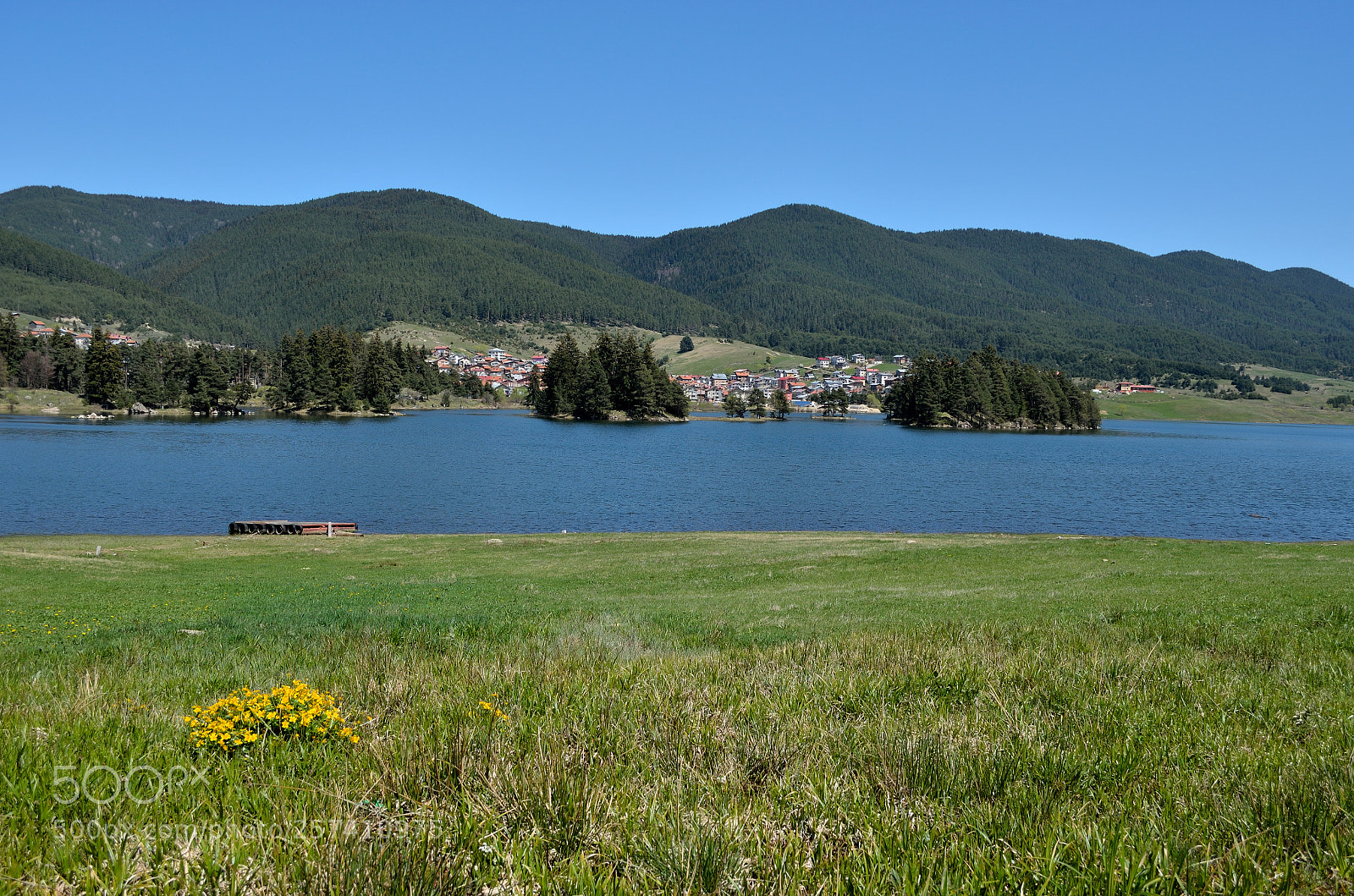 Nikon D5100 sample photo. Springtime photography