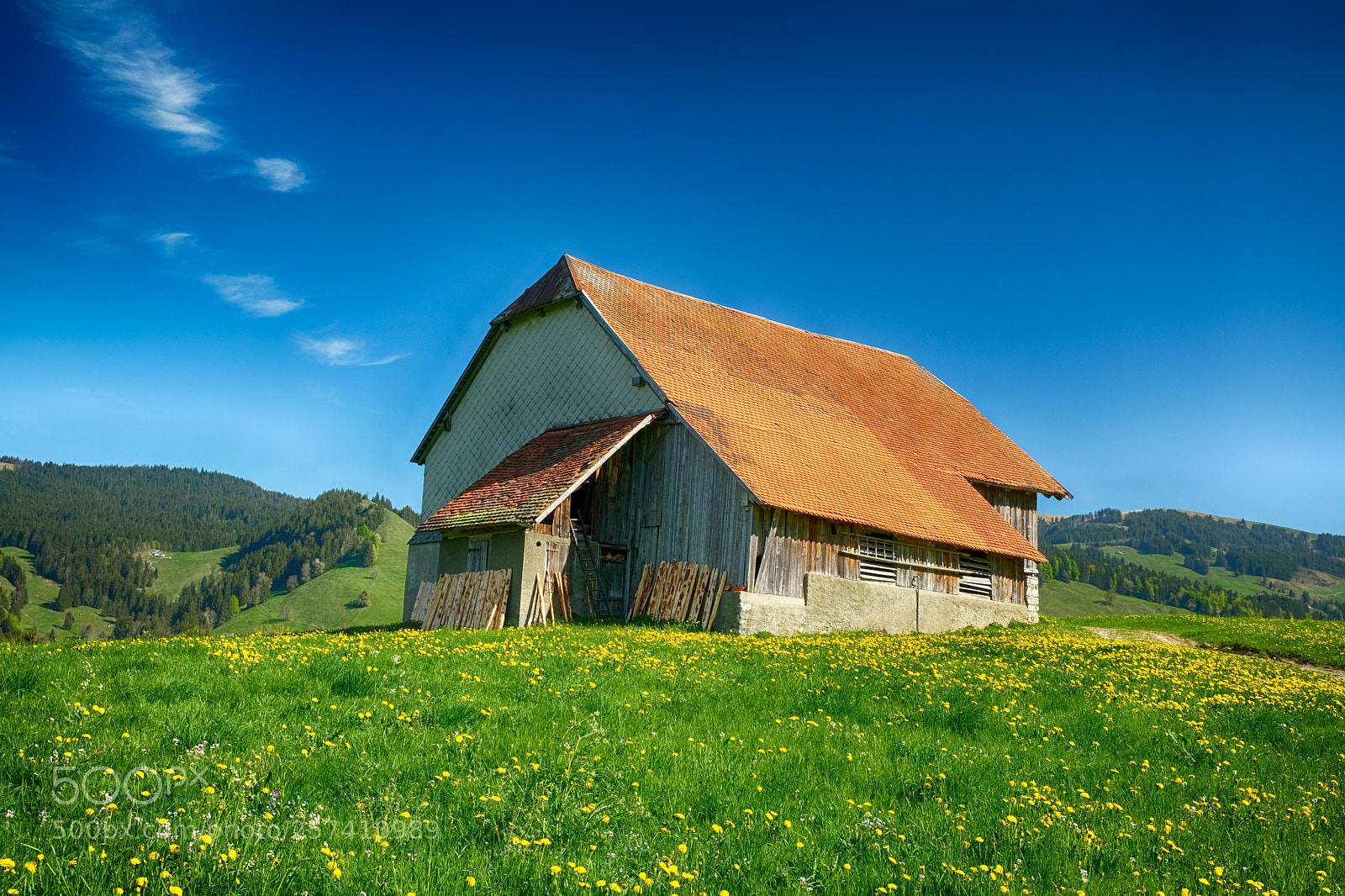 Fujifilm X-T2 sample photo. Charmey (gruyère) switzerland photography