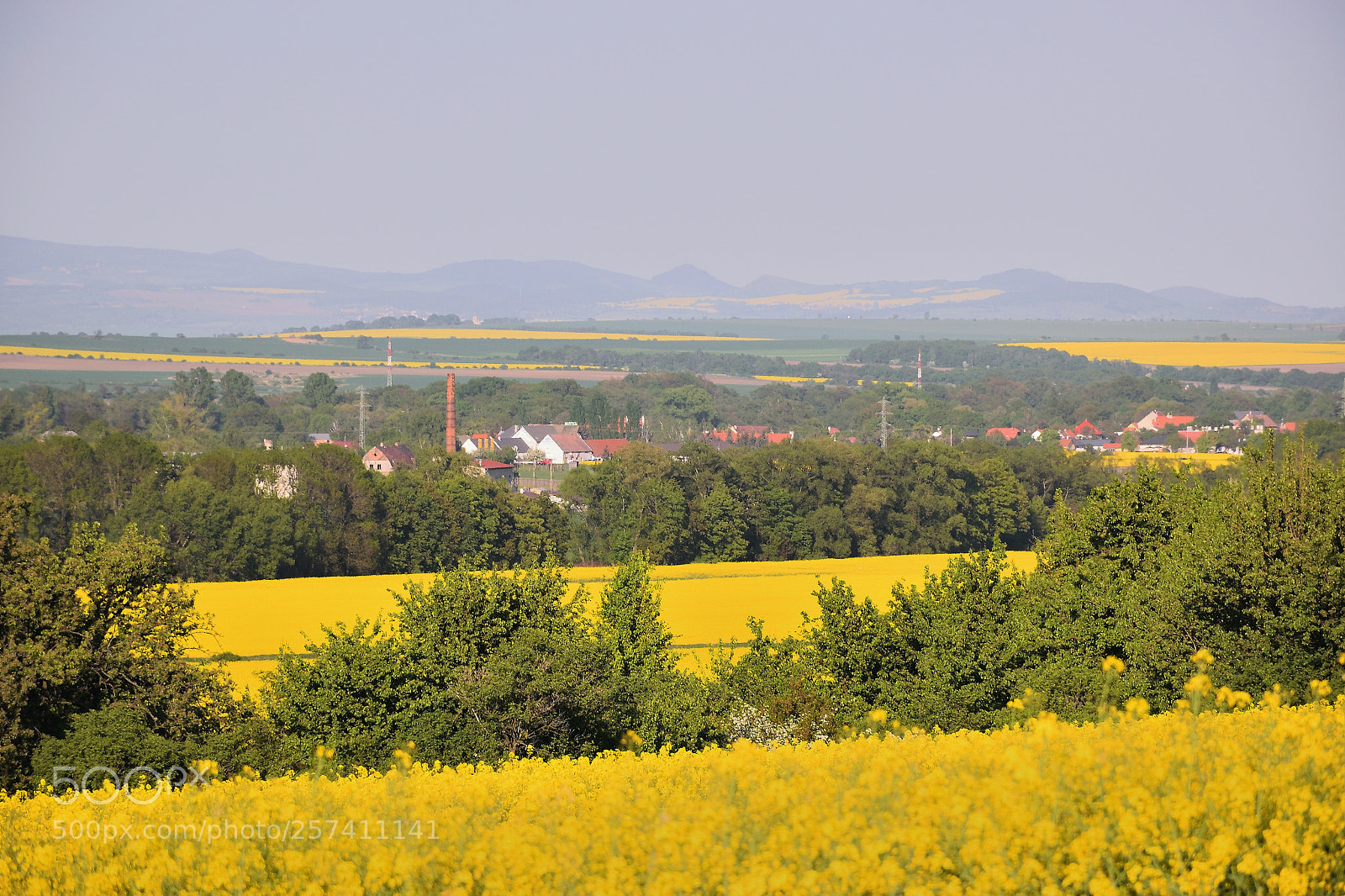 Nikon D5300 sample photo. Czech landscape with rape photography