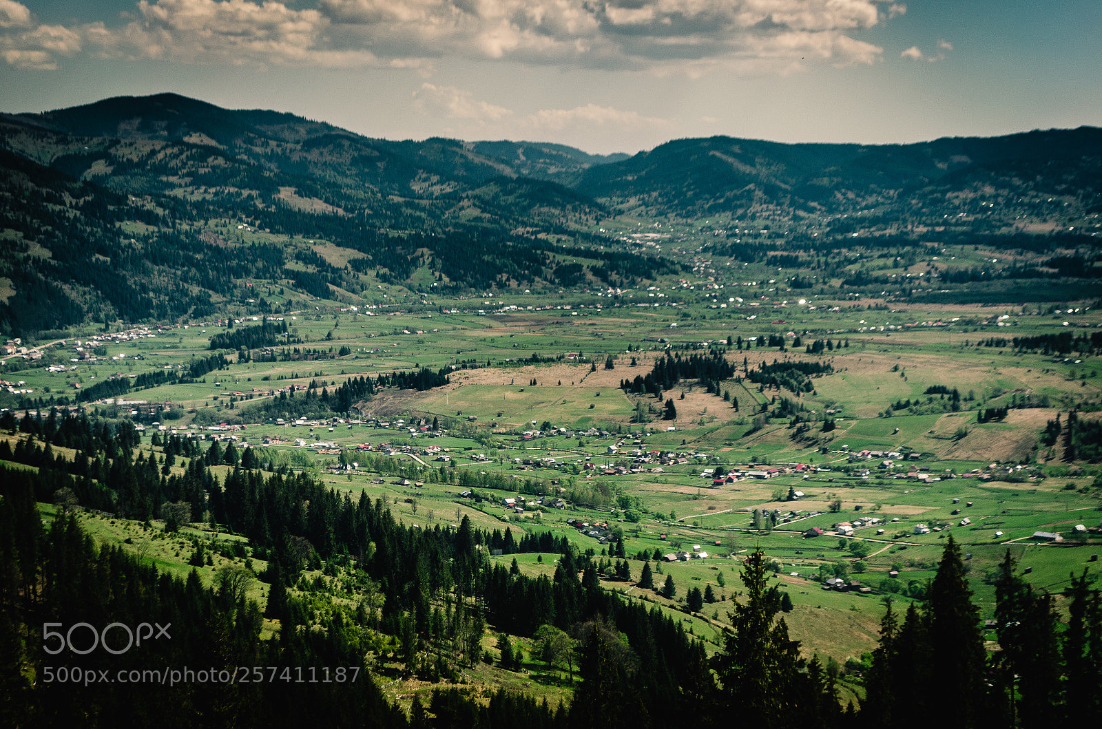 Nikon D5100 sample photo. Green valley photography