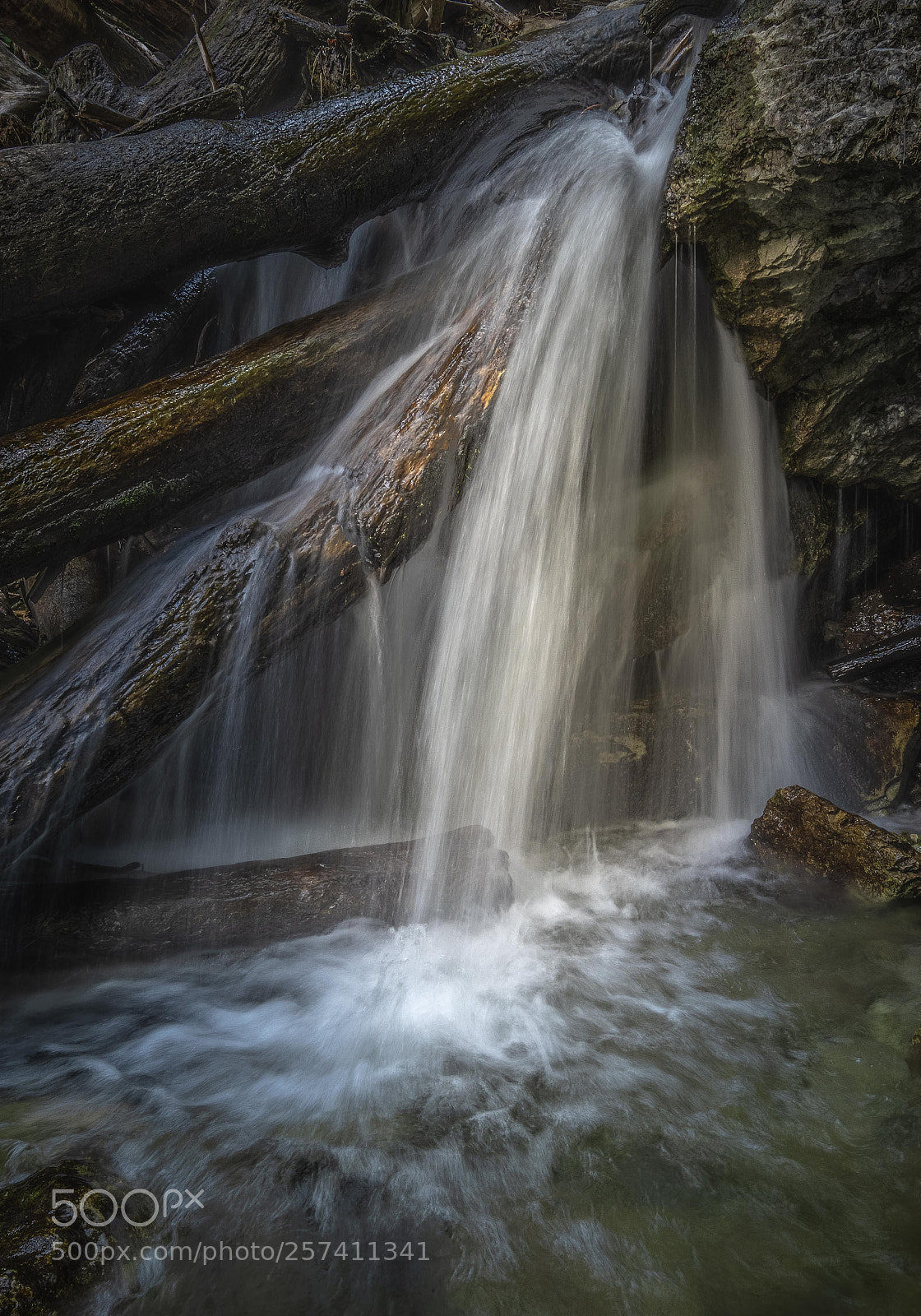 Fujifilm X-T2 sample photo. Water & wood photography