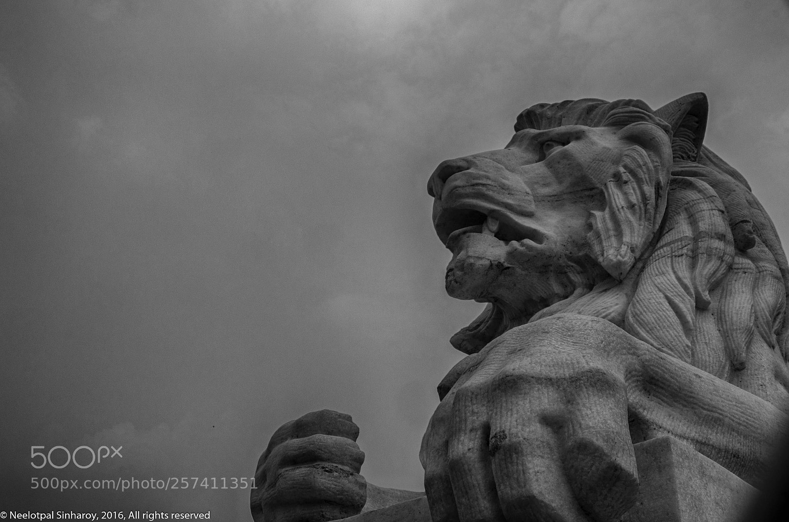 Nikon D5100 sample photo. So he spoke photography