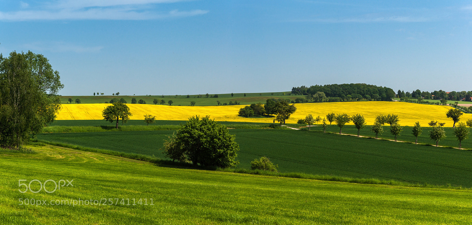 Nikon D90 sample photo. Spring photography