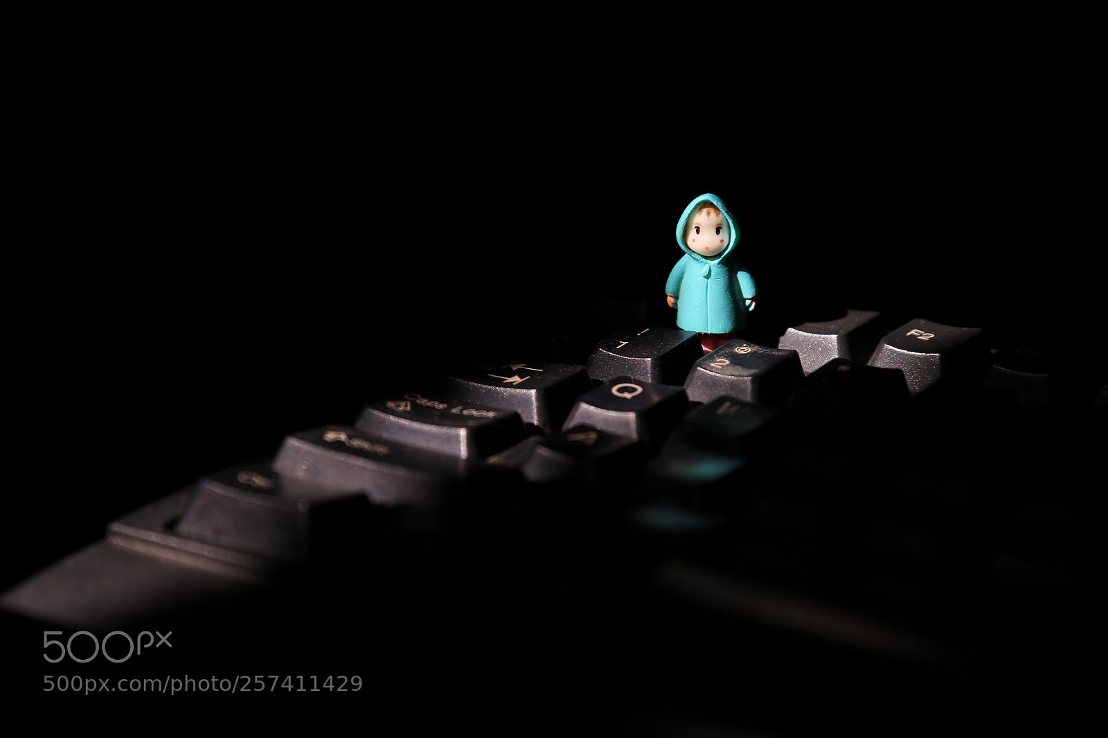 Canon EOS 6D sample photo. Untitled photography