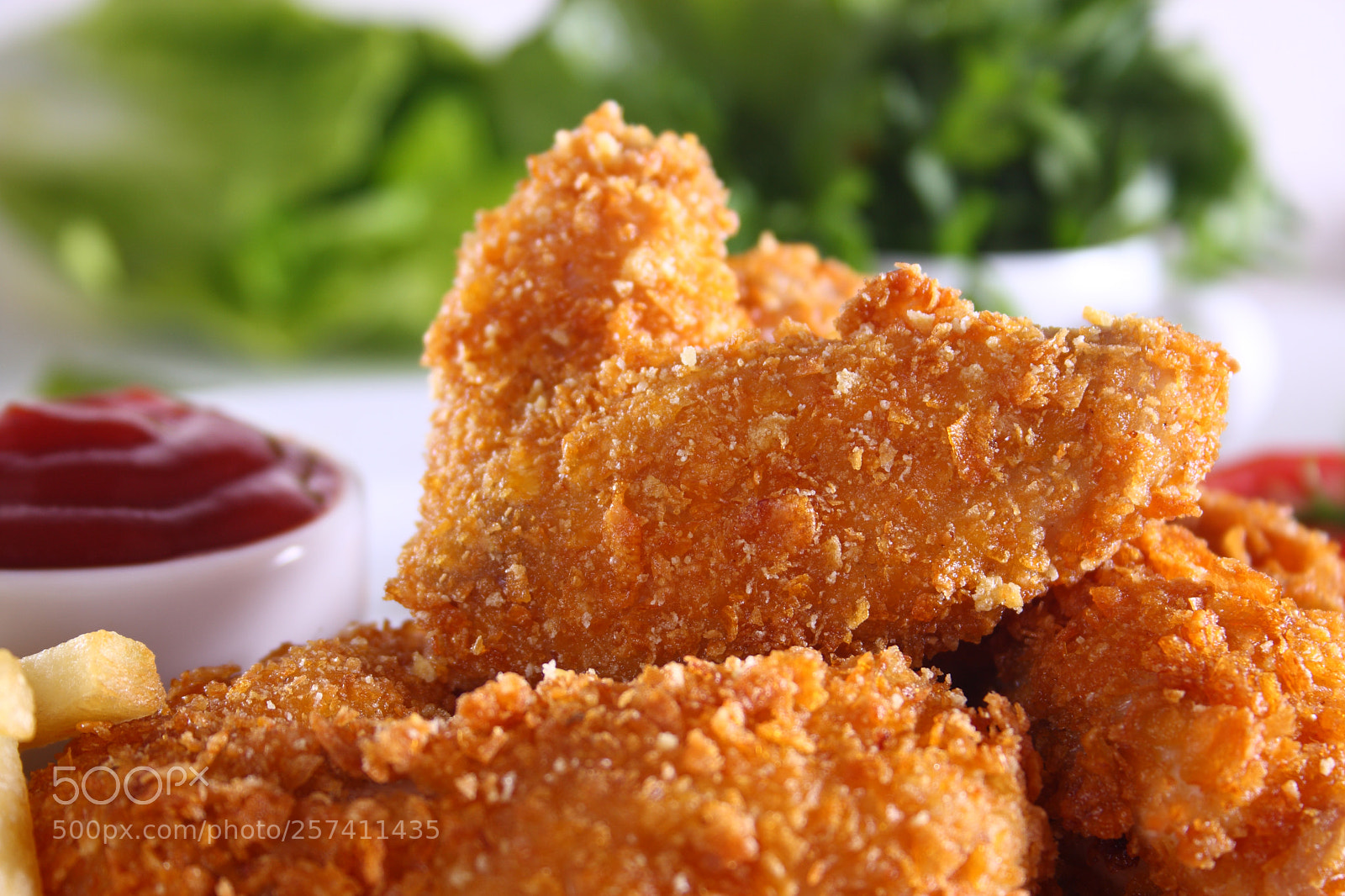 Canon EOS 40D sample photo. Fried crispy chicken meal photography