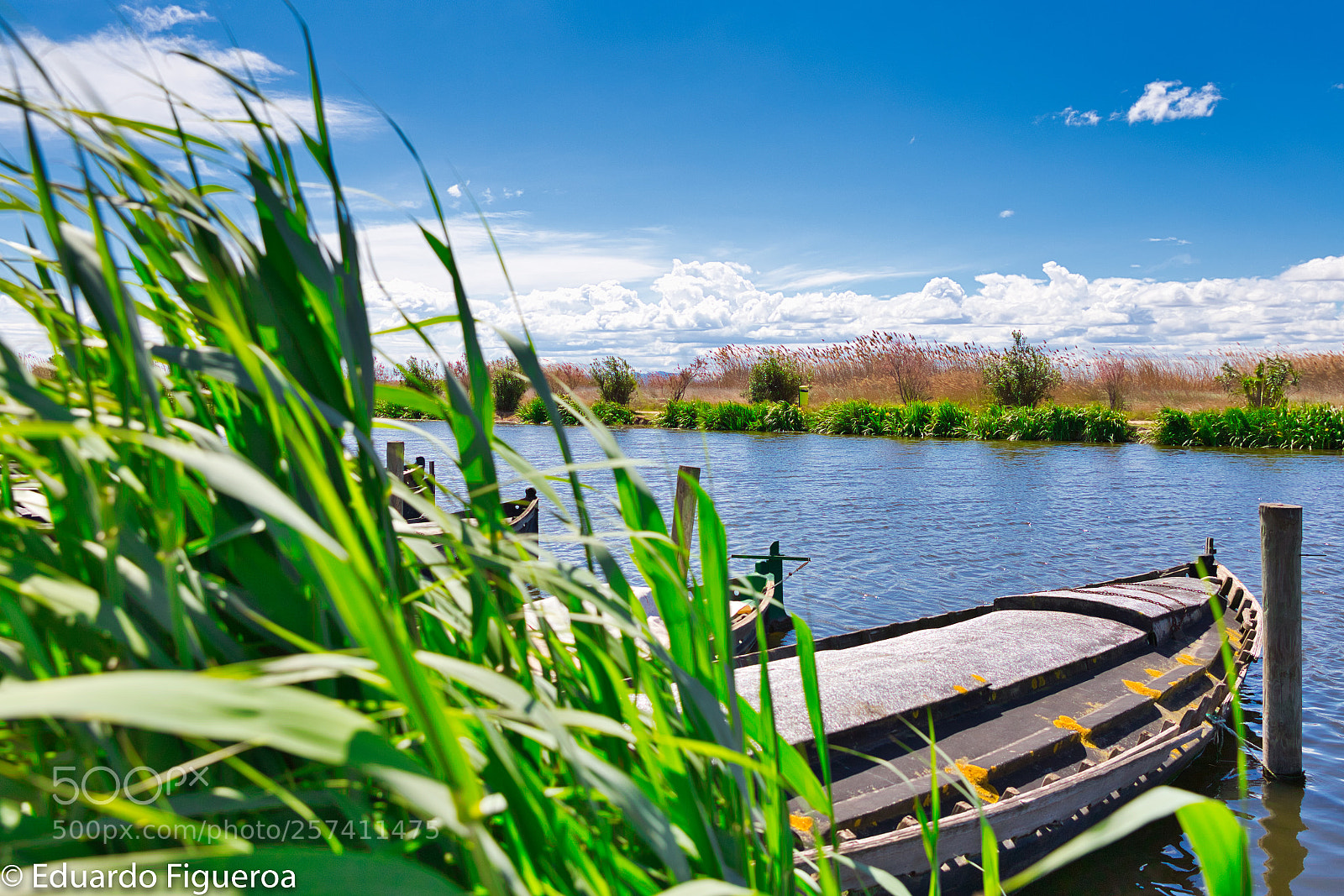 Canon EOS 6D sample photo. Relaxing breeze... photography