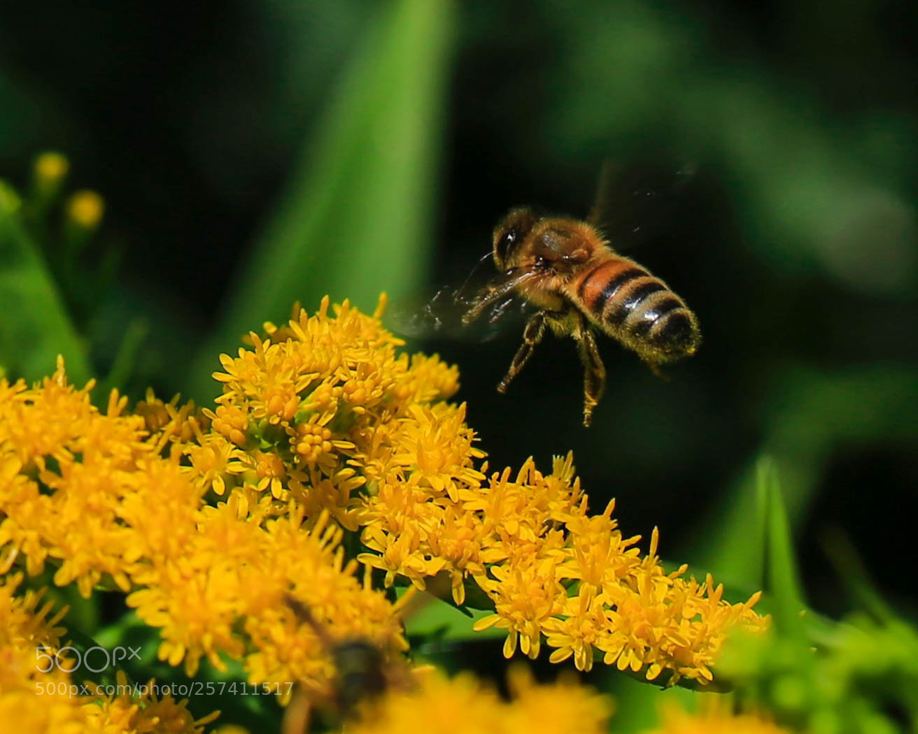 Canon EOS 6D sample photo. Xxt-77 photography