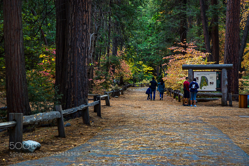 Canon EOS 6D sample photo. Enjoying fall photography