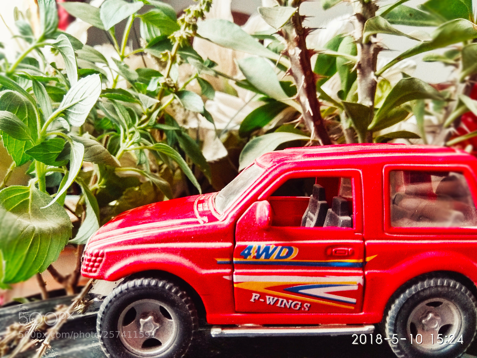 Xiaomi Redmi Note 4 sample photo. Trying to become real photography