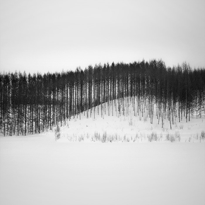 Hasselblad X1D-50c sample photo. Transparent photography