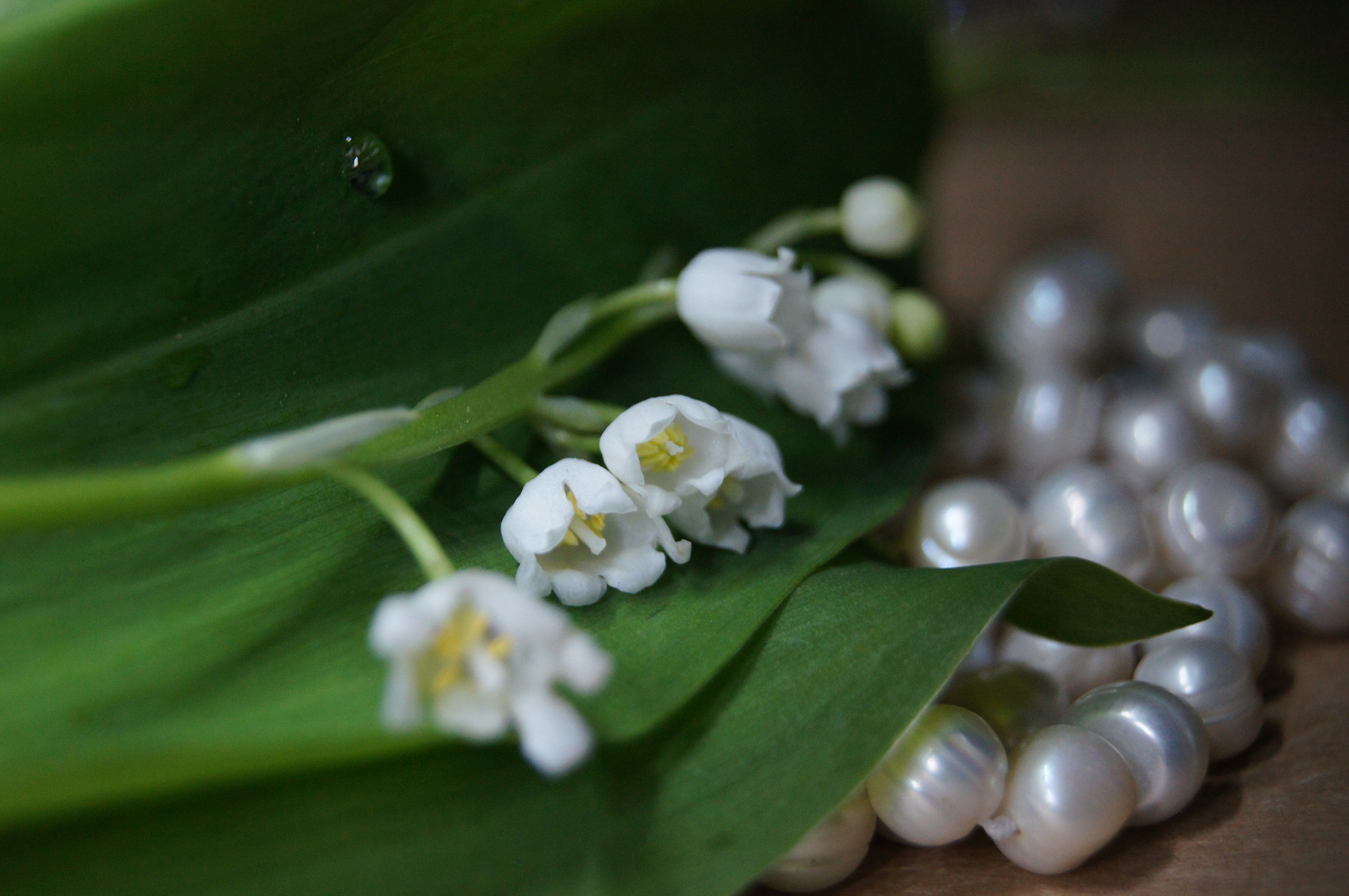 Sony Alpha DSLR-A580 sample photo. Museum of innocence photography