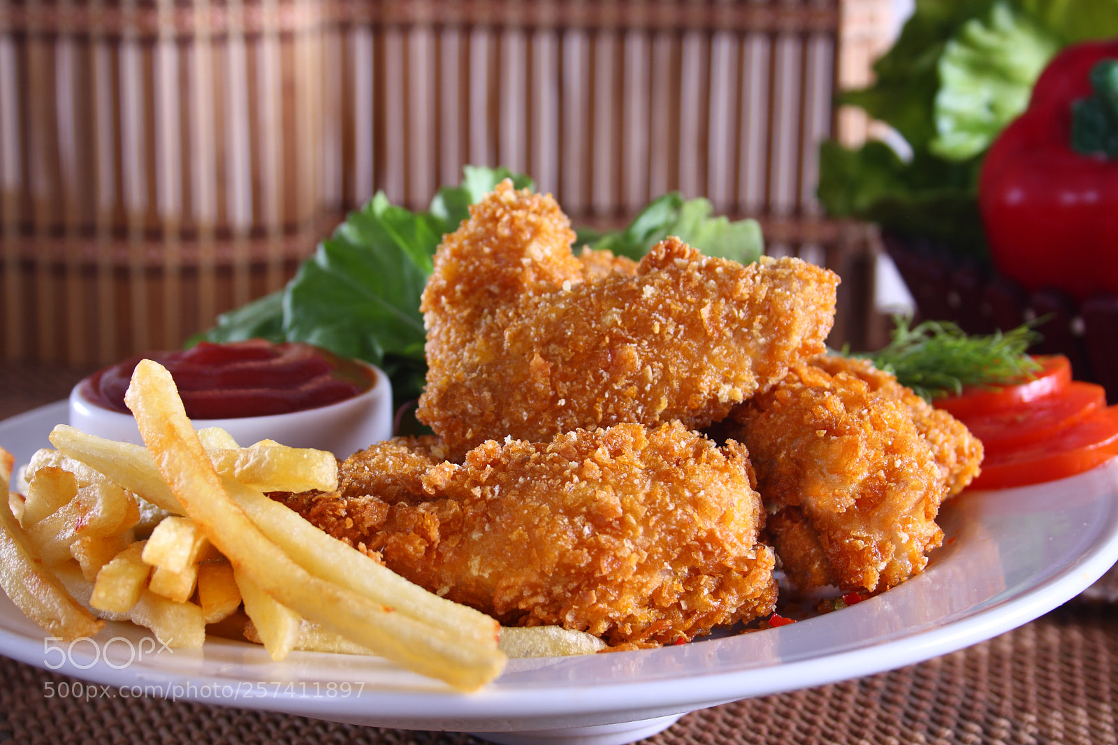 Canon EOS 40D sample photo. Fried crispy chicken meal photography