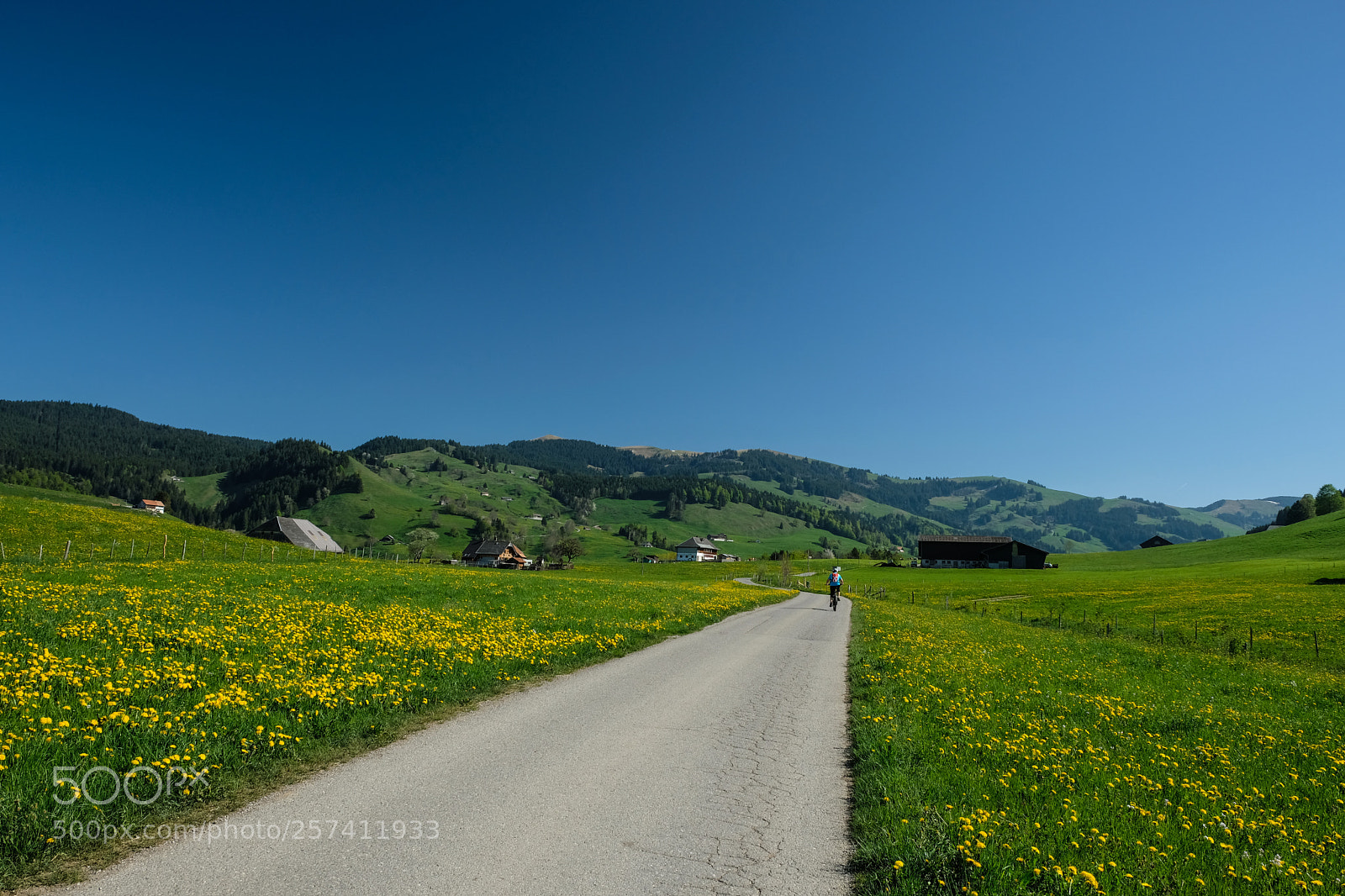 Fujifilm X-T2 sample photo. Charmey (gruyère) switzerland photography
