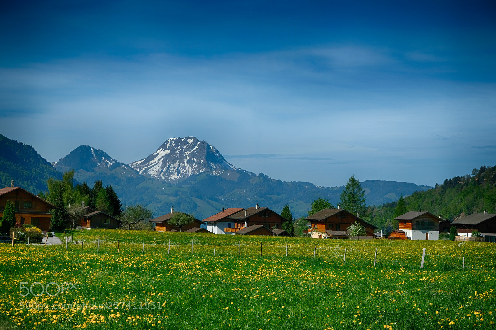 Fujifilm X-T2 sample photo. Charmey (gruyère) switzerland photography