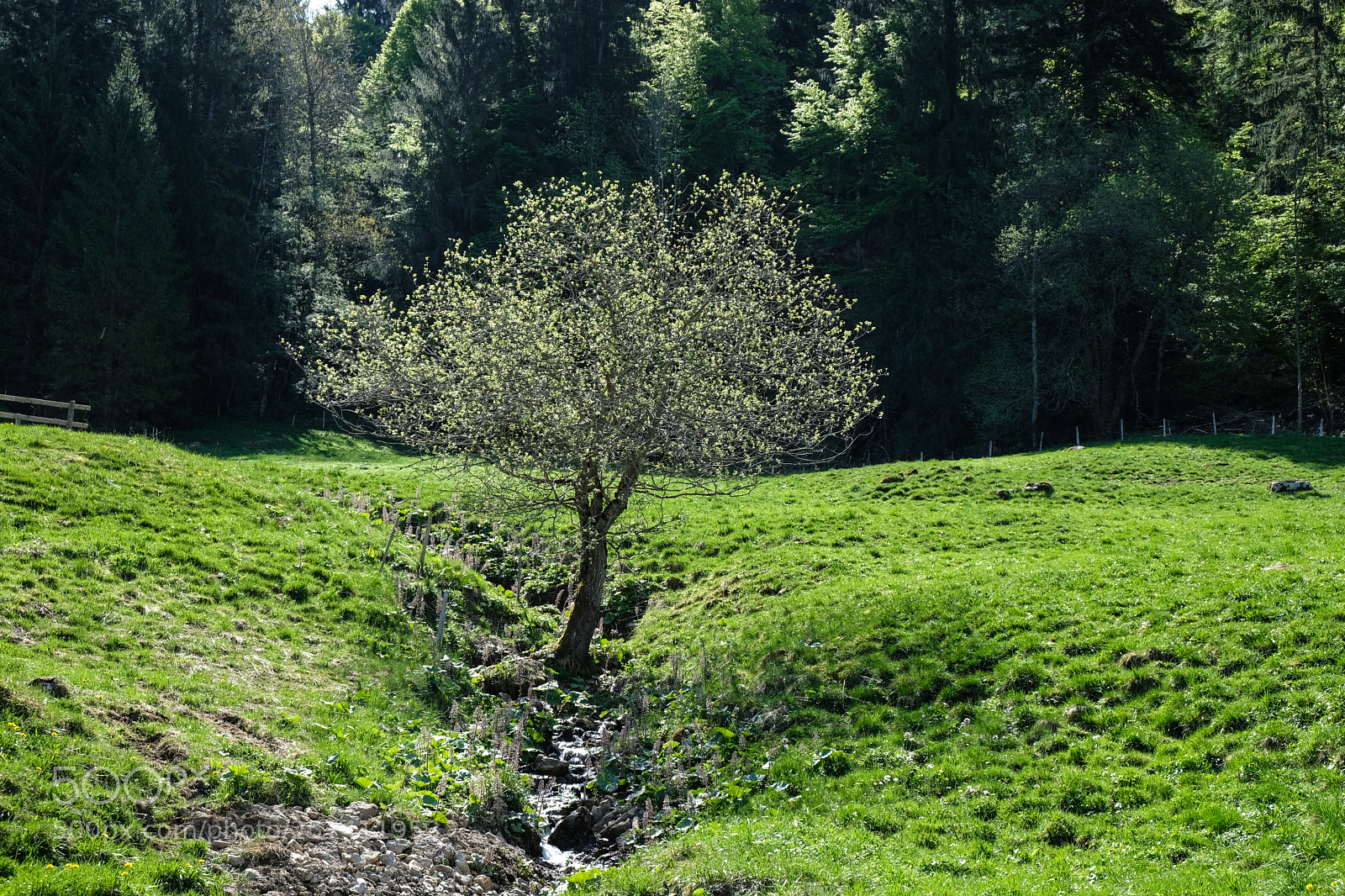 Fujifilm X-T2 sample photo. Charmey (gruyère) switzerland photography