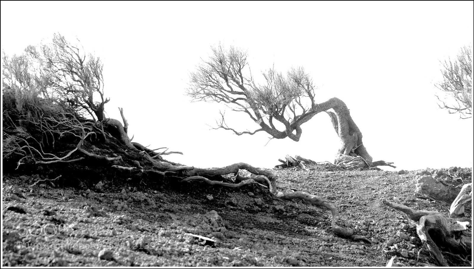 Nikon D80 sample photo. Twist and shout photography
