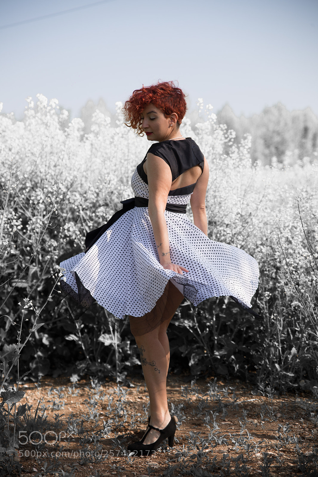 Canon EOS 6D sample photo. Danzando tra i fiori photography