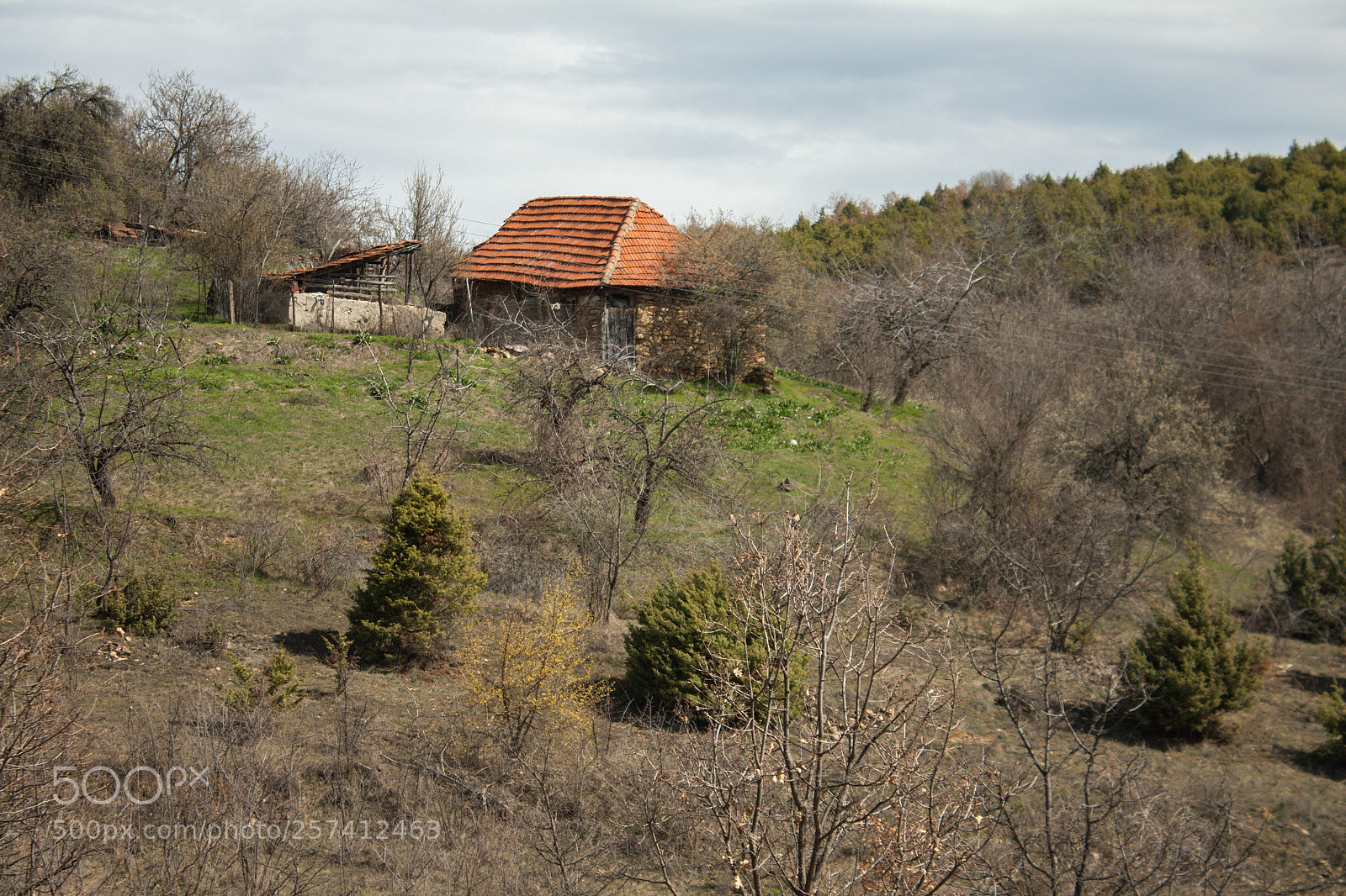 Canon EOS 450D (EOS Rebel XSi / EOS Kiss X2) sample photo. Village of polska skakavica photography