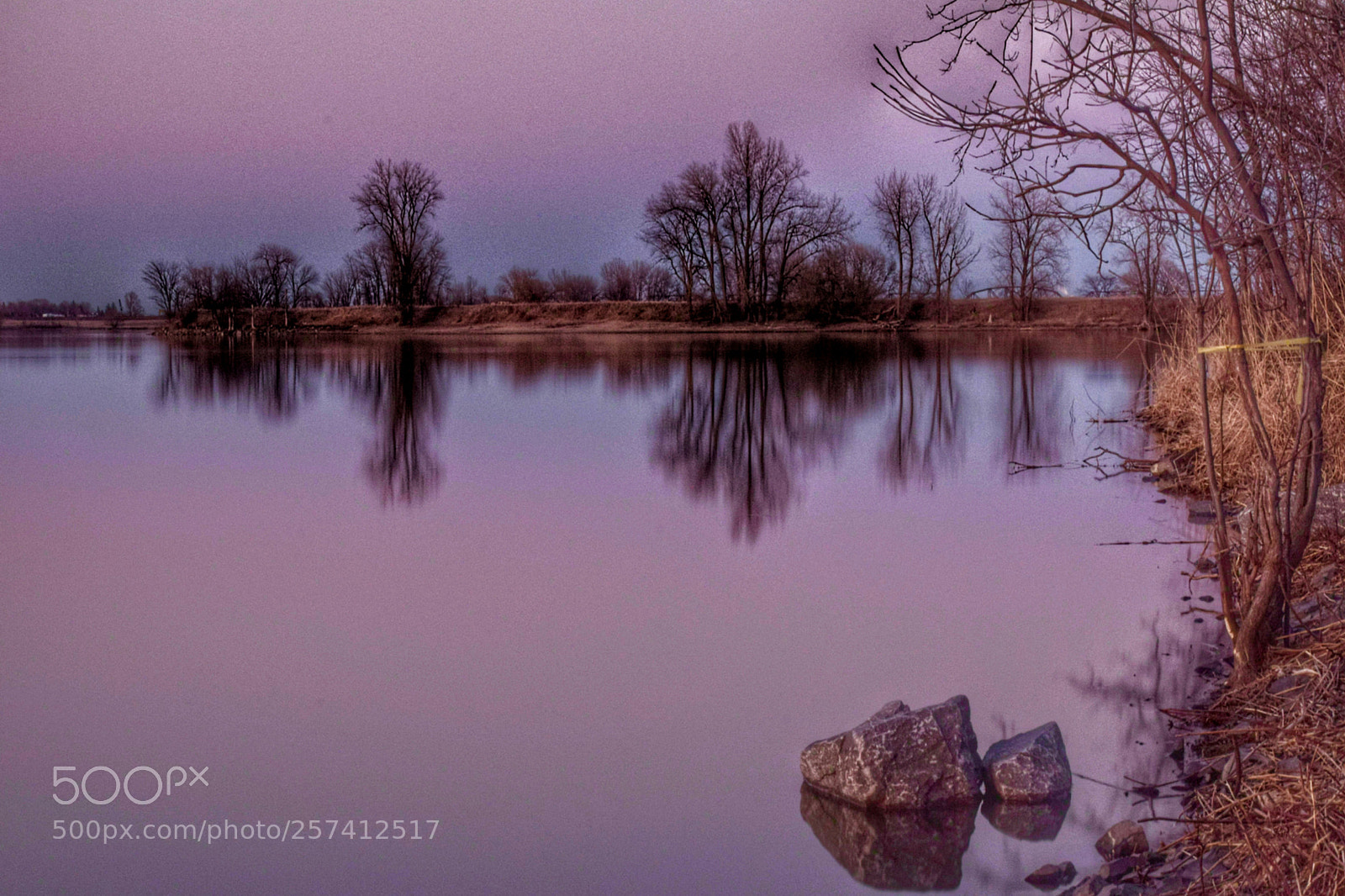 Nikon D3300 sample photo. Reflections photography