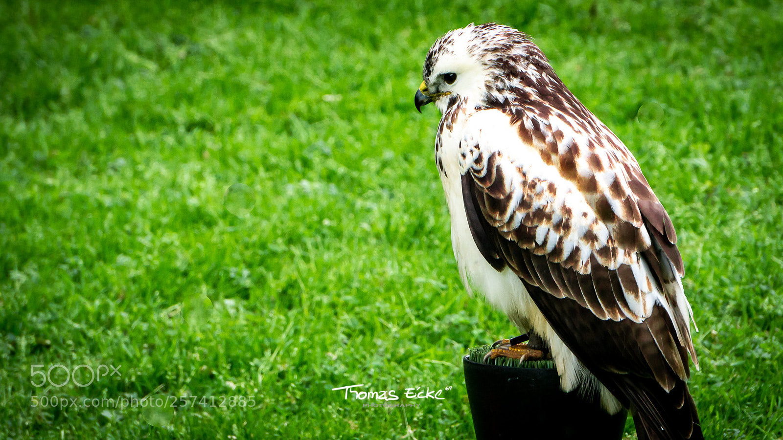 Sony a6000 sample photo. Dsc photography